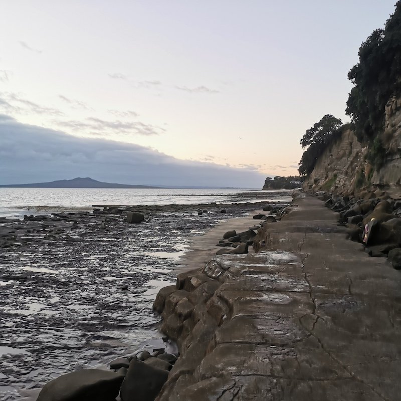 Megan Parsons Walkway, Photo Comp 2020