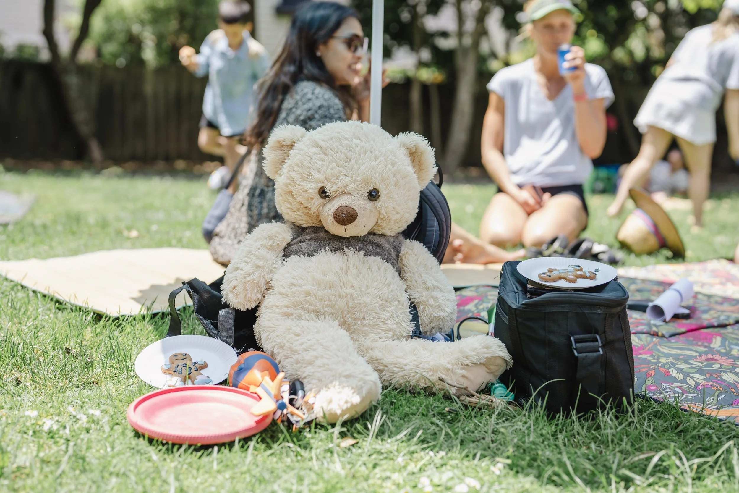Teddy Bears picnic at the playground in Mairangi Bay