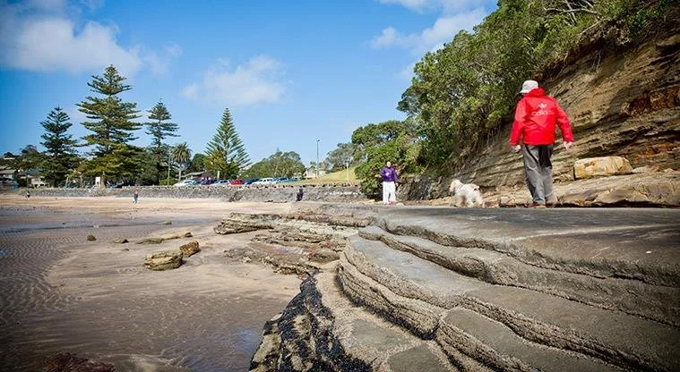 Coastal walkway to Mairangi Bay