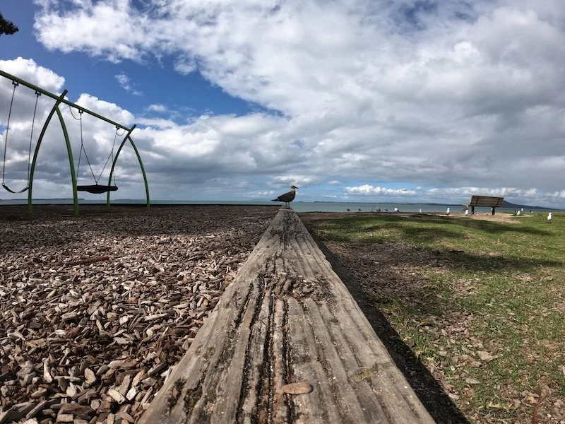 Kenji Tonegawa A Perfect Afternoon, Photo Comp 2020