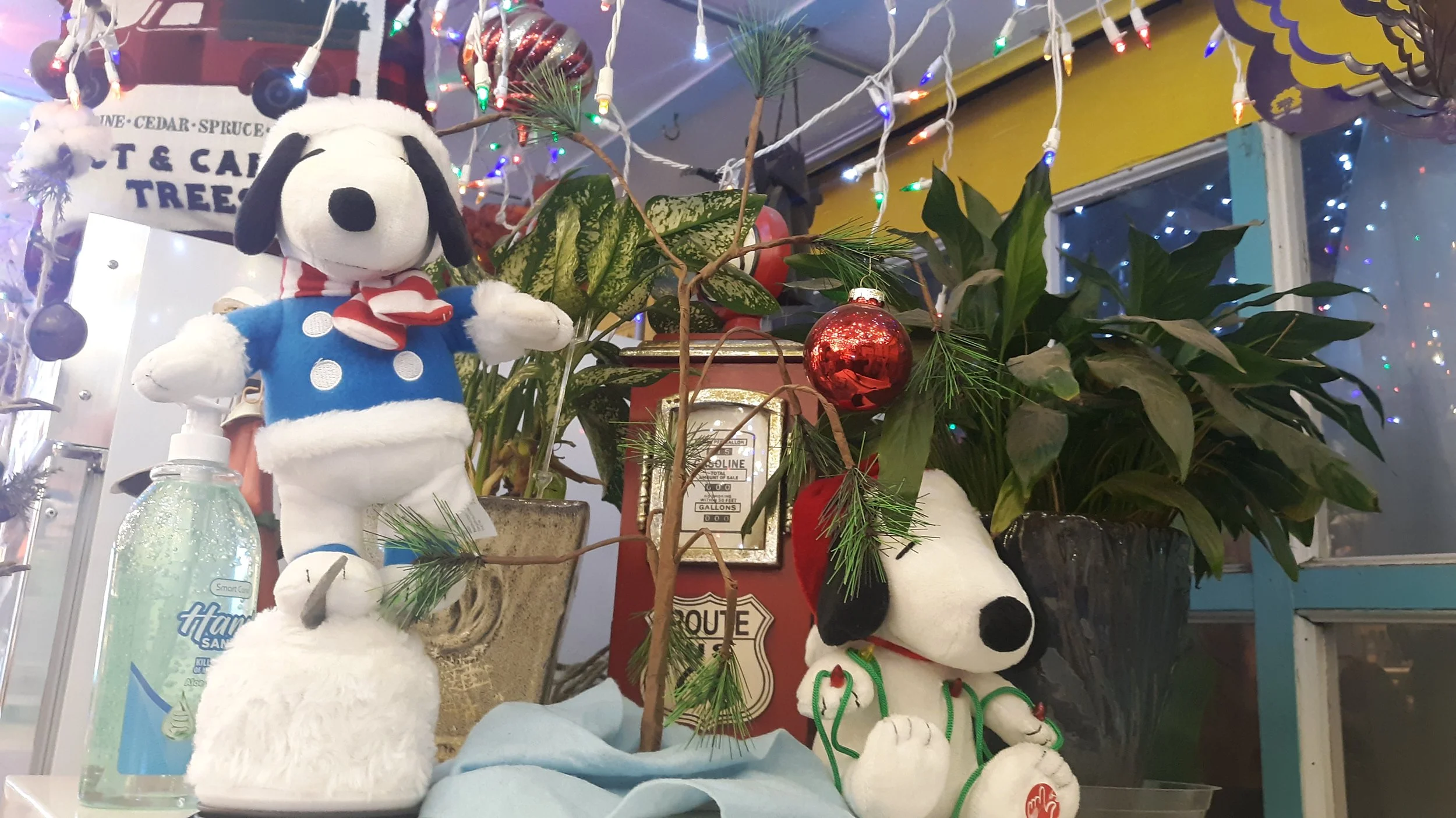 JP Total Christmas Trees, Wreaths, Cider, decorations and specialty foods for the holidays!