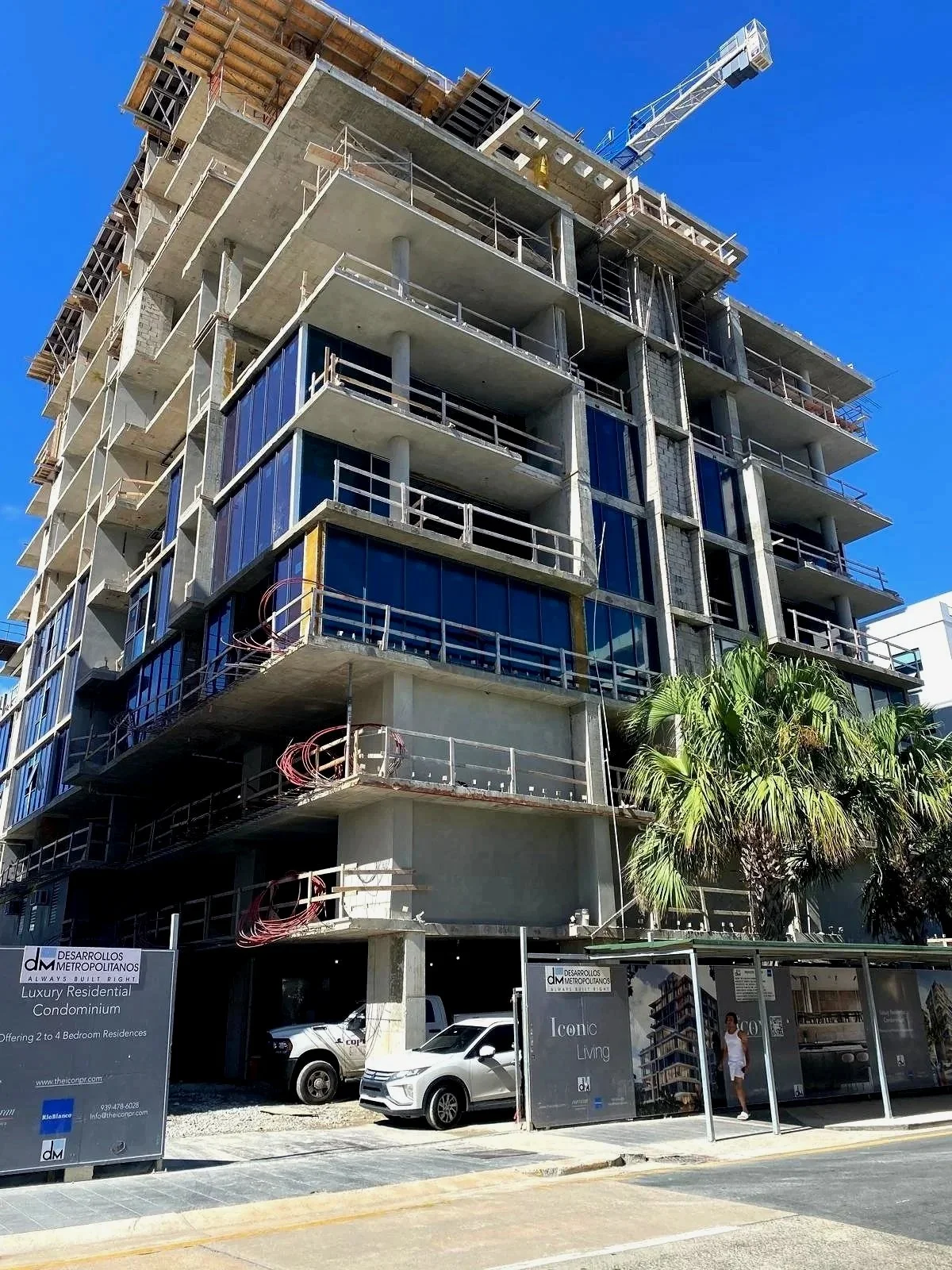 An image of The Icon.