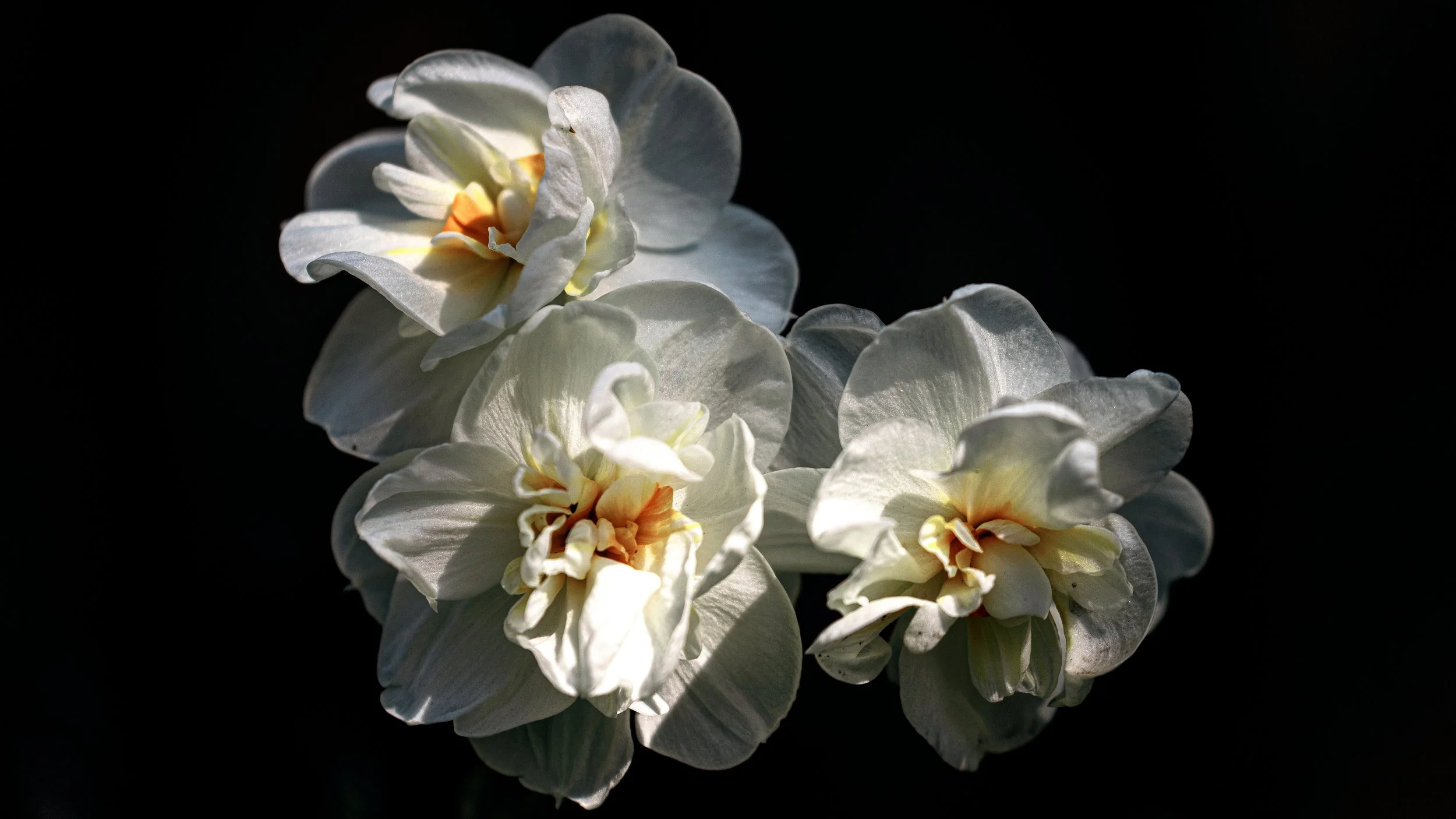 Mother Nurture