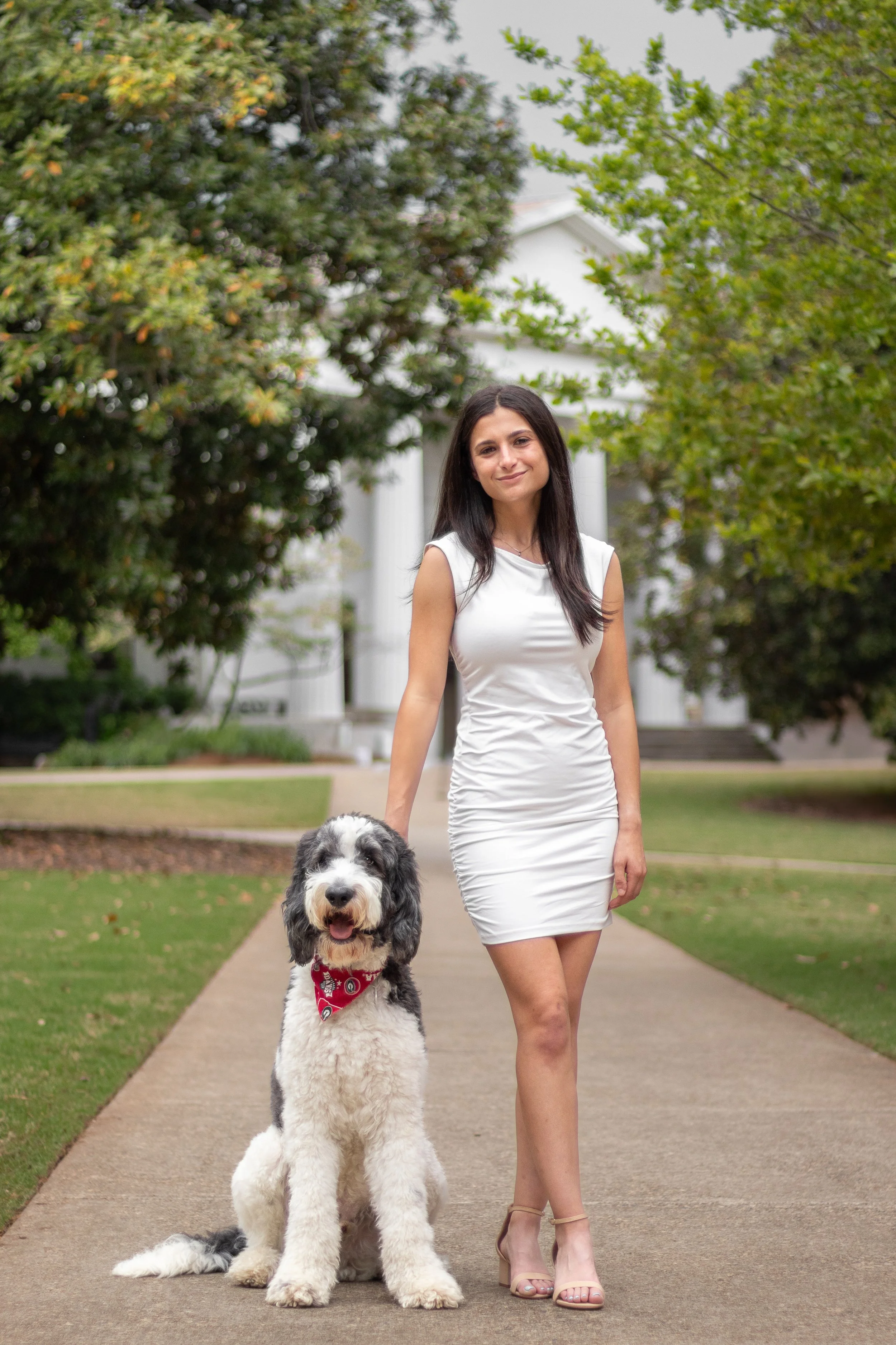 A woman in a white dress walking a large black and white dog on a leash on a sidewalk with trees and a white building in the background.
