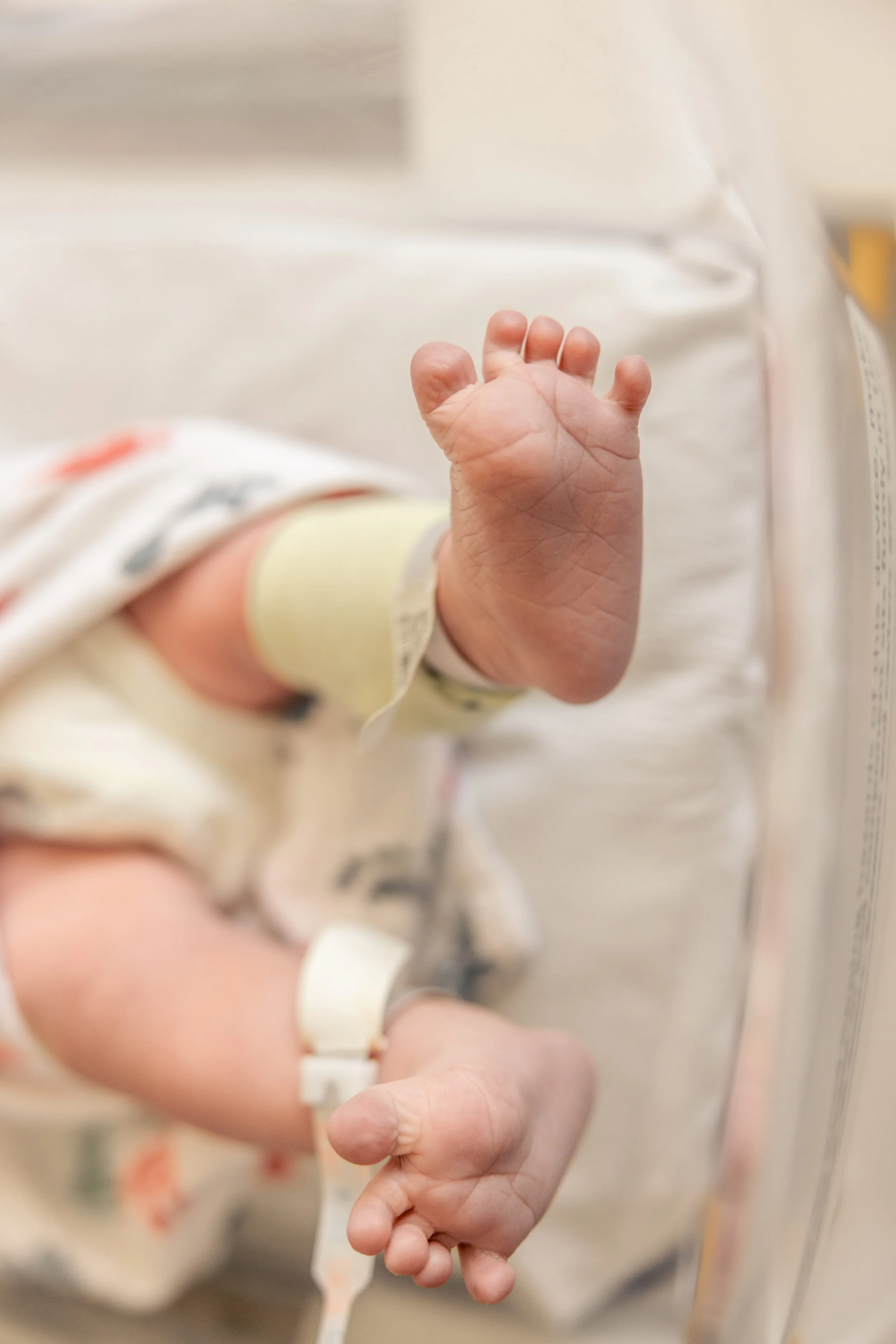 Organic fresh 48 newborn session in an Augusta hospital