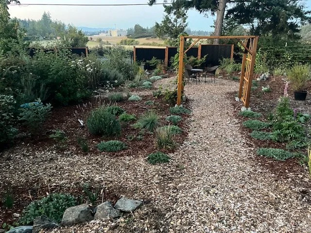 Native plant garden with a path and seating area