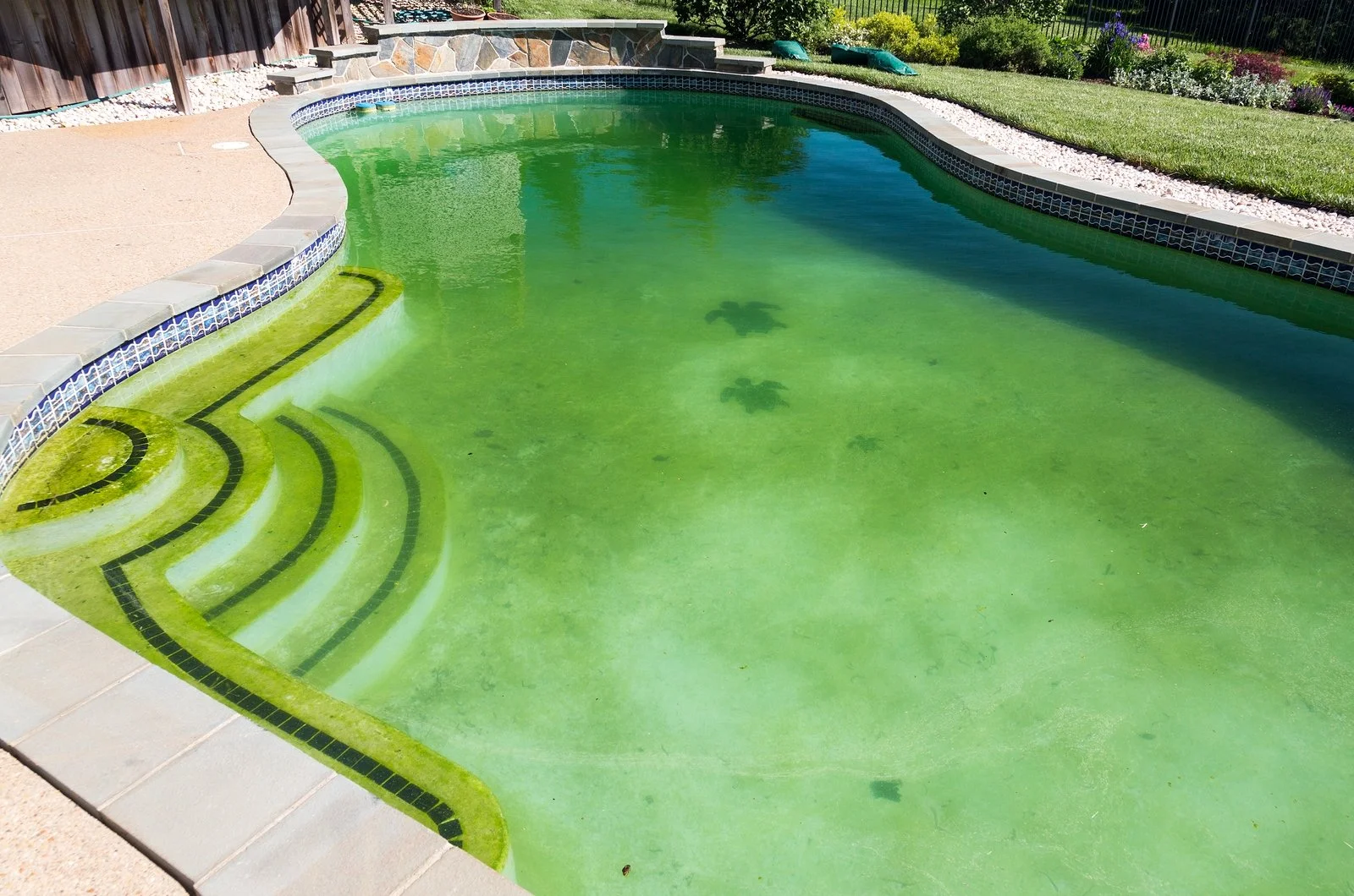 How to Manage Phosphates in a Pool 