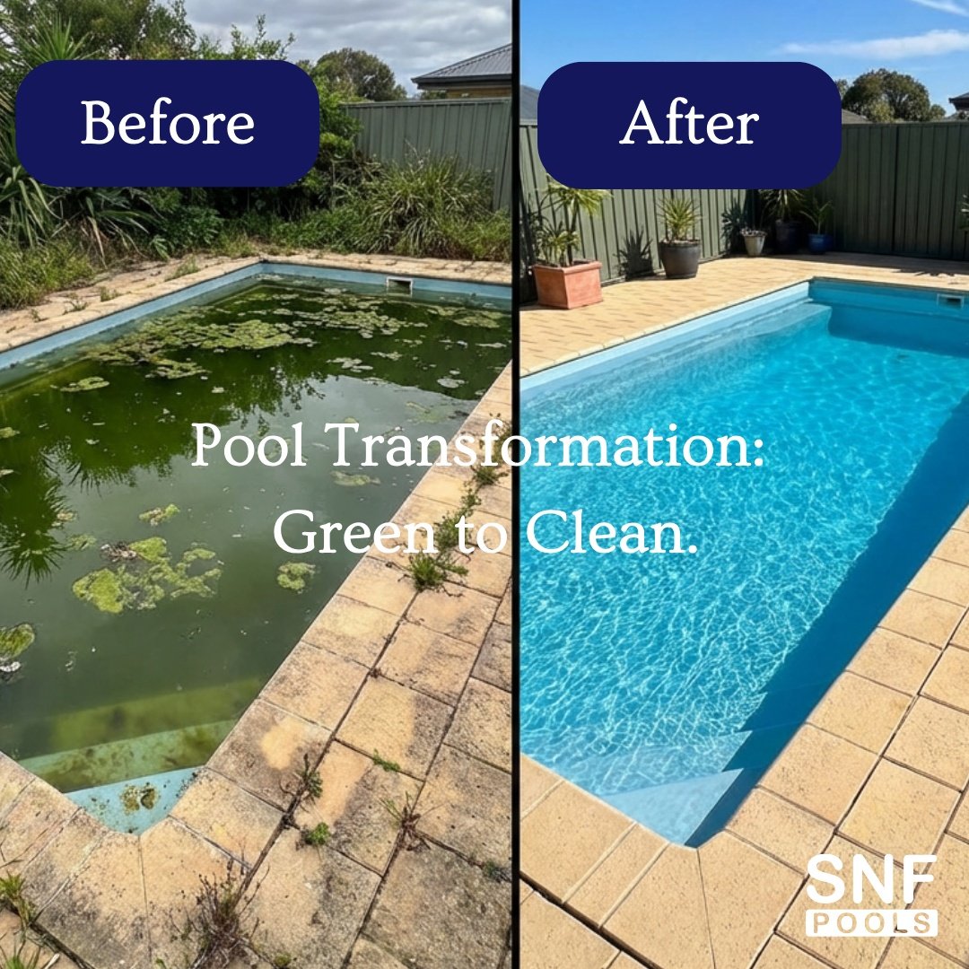 Expectation: resort perfection 🏖️Reality (without SNF Pools): murky mayhem 💀
Let&rsquo;s make sure your backyard looks like the dream side.

Sign Up for Pool Service:
📞(561) 970 - 2053
🌐www.snfpools.com

Professional Pool Service &amp; Maintenanc