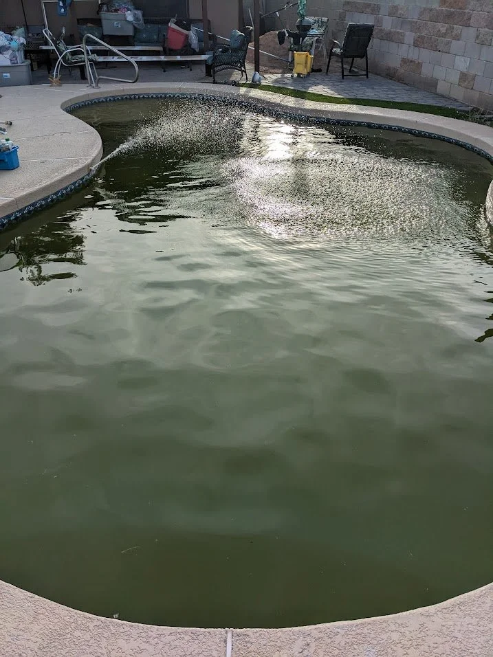 PXL_20240607_010509059.jpg