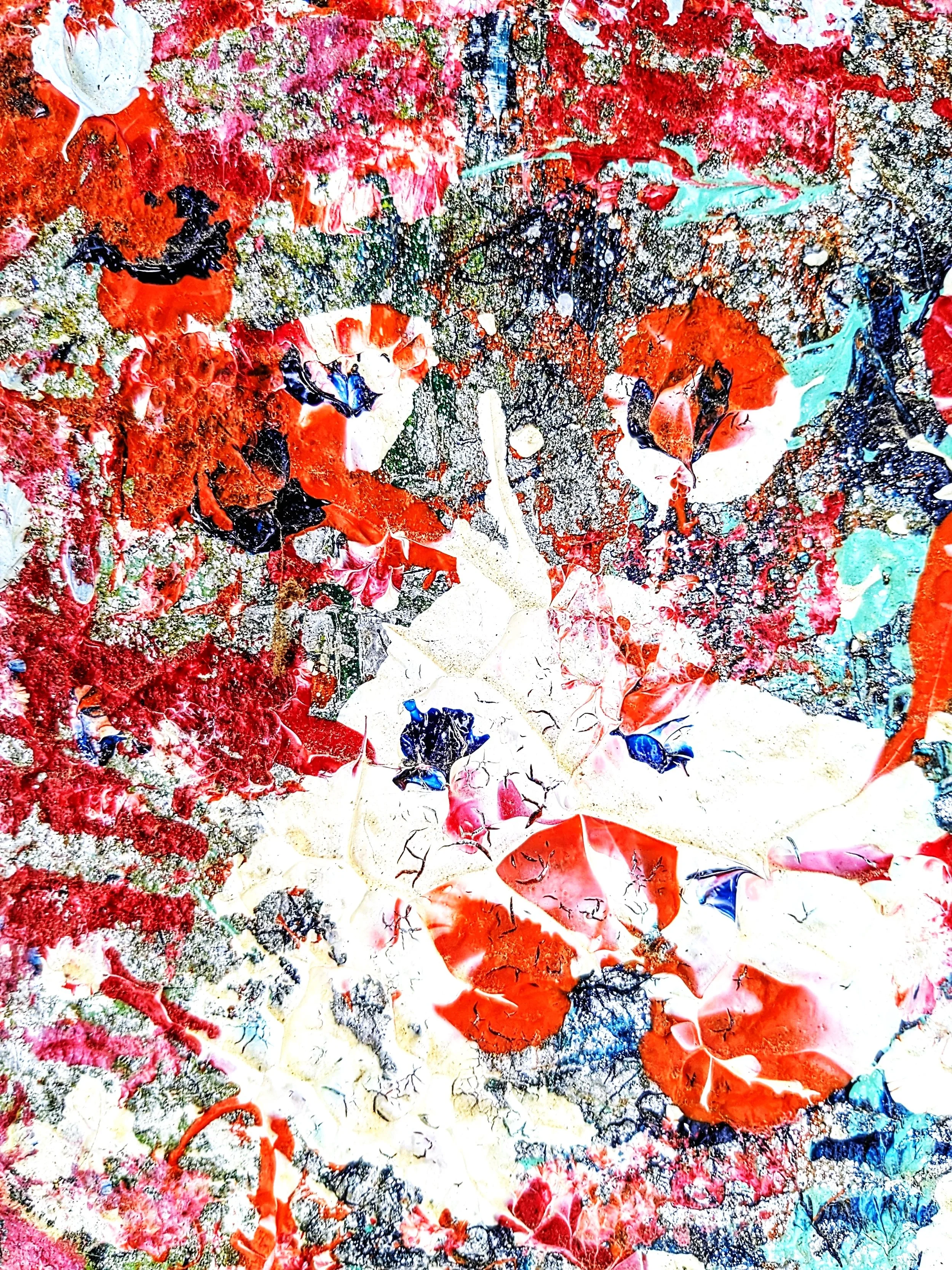 Bloom