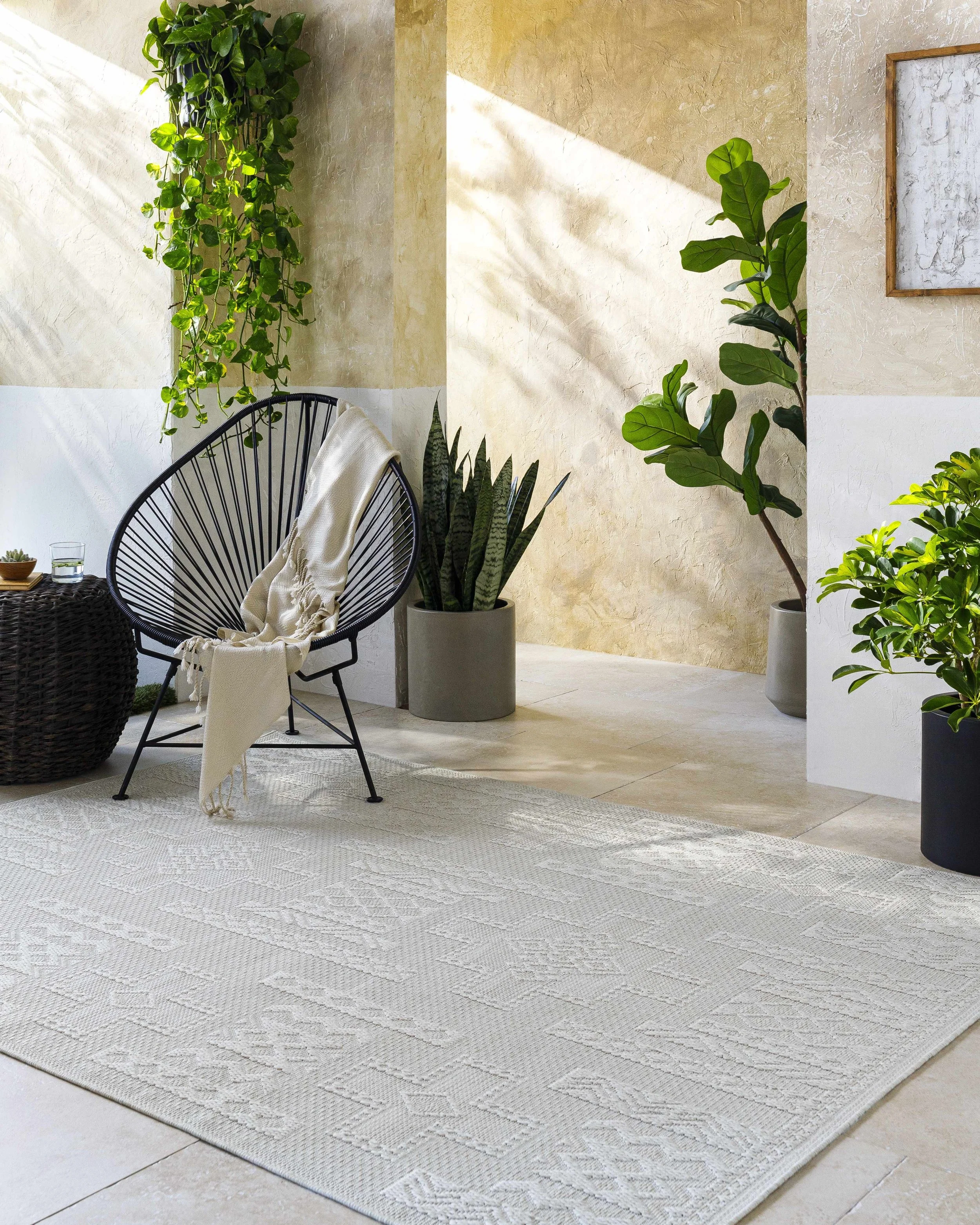 A modern indoor space with a black wire chair draped with a beige throw blanket, surrounded by various potted green plants, and a textured white rug on a light-colored floor with sunlight streaming in.