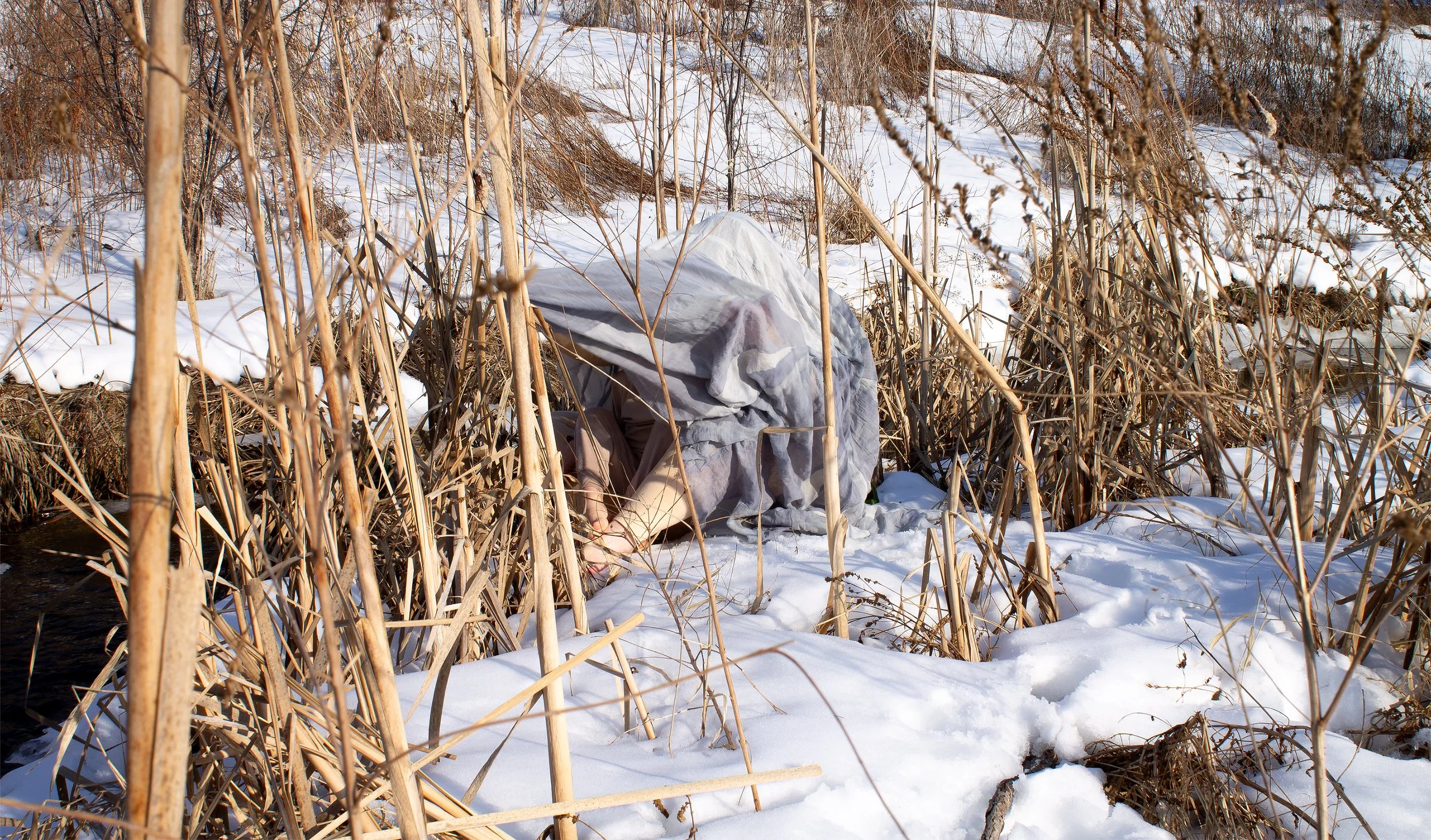 A winter scene with dried yellow cattails along a stream. Two figures are under a blue covering - their legs and feet are poking out from the bottom of the covering. The child’s toes are wet and red, curled up and resting on the adult’s foot. They ar