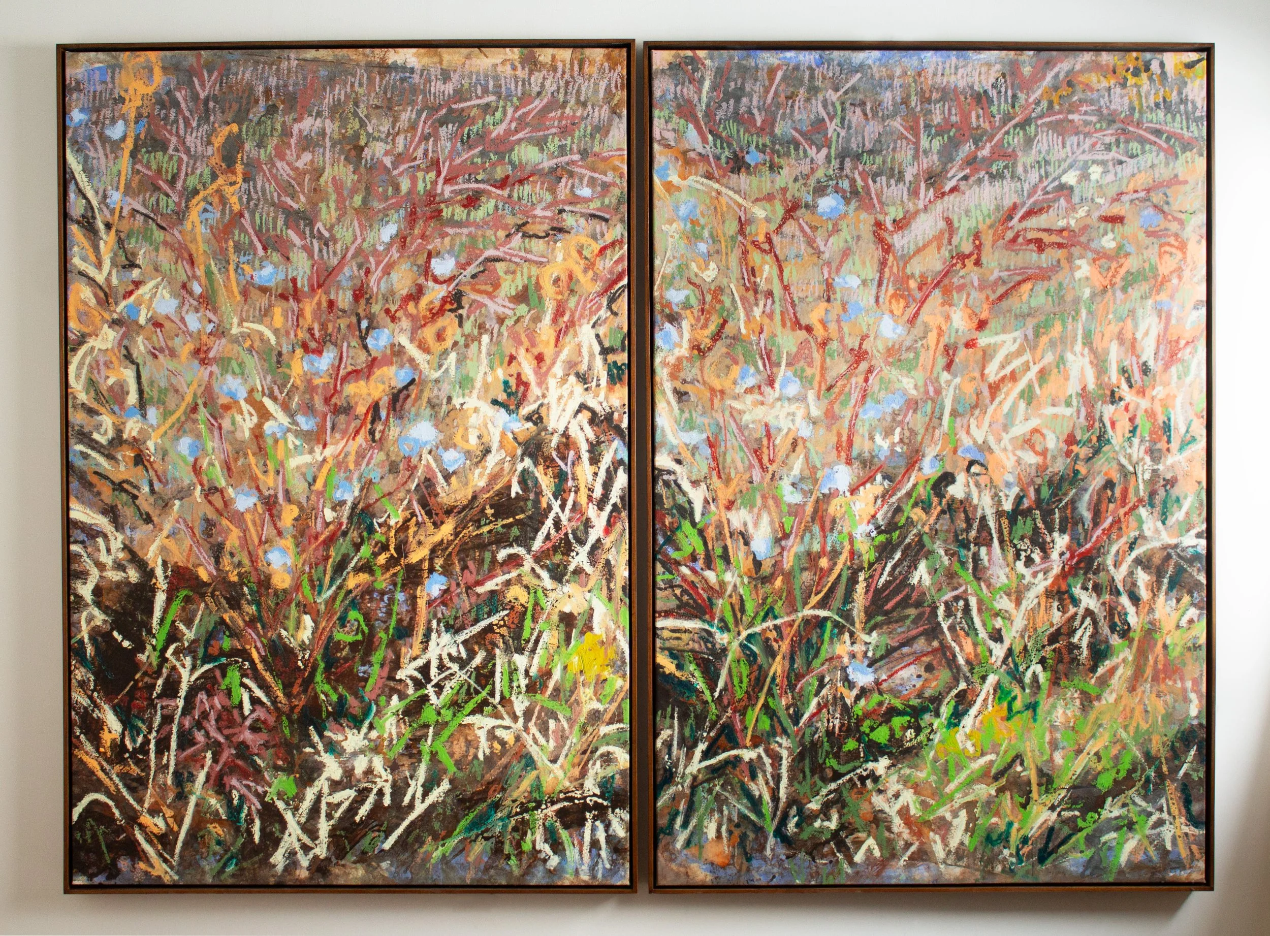 September Chicory & Curly Dock 1 & 2;  Acrylic, oil stick and tempera paint stick, 40x60" each, 2025