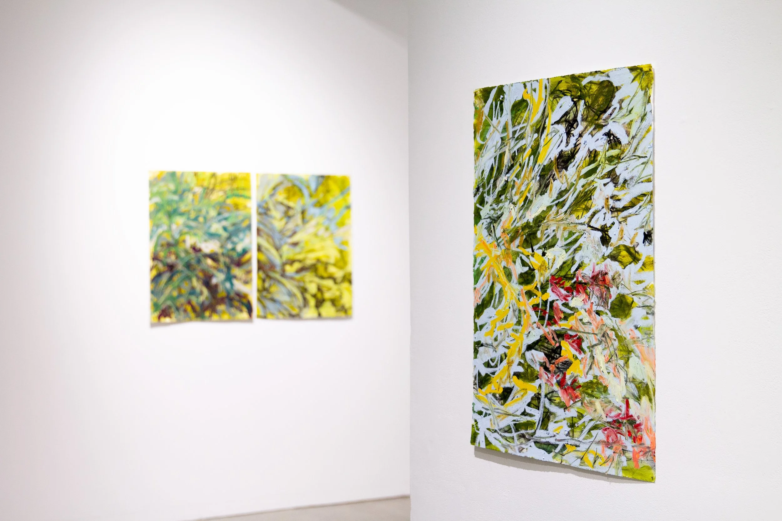 Paintings