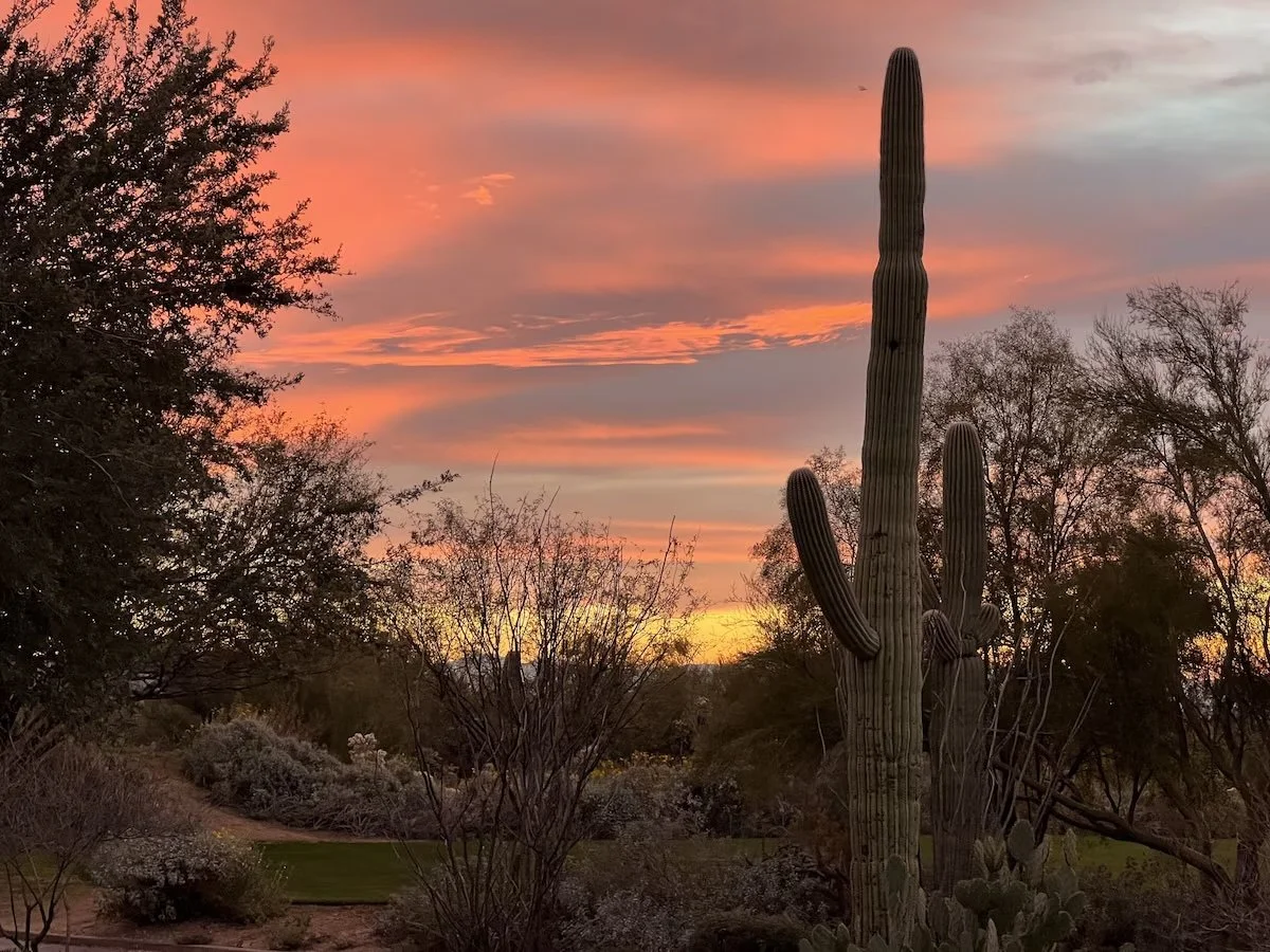 sunset.jpg