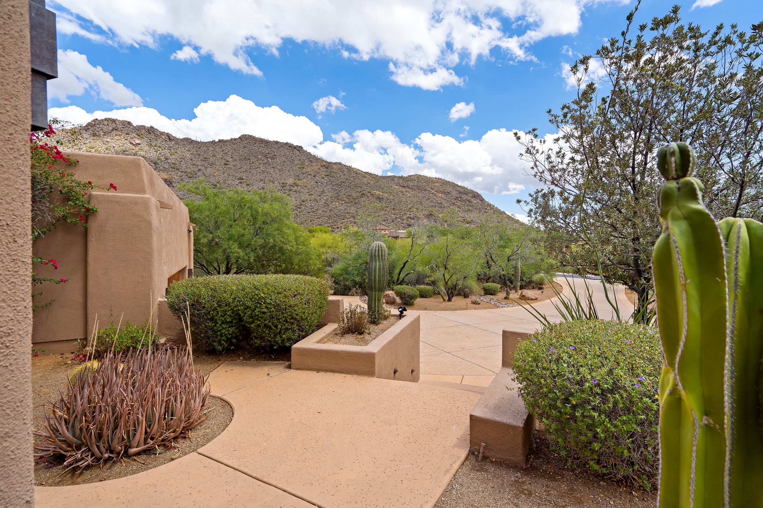 1 Front Yard-6.jpg