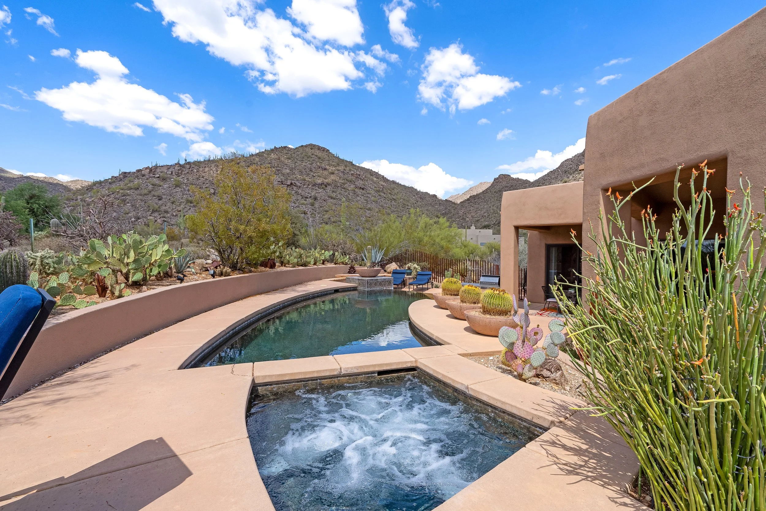 3 Backyard-12.jpg