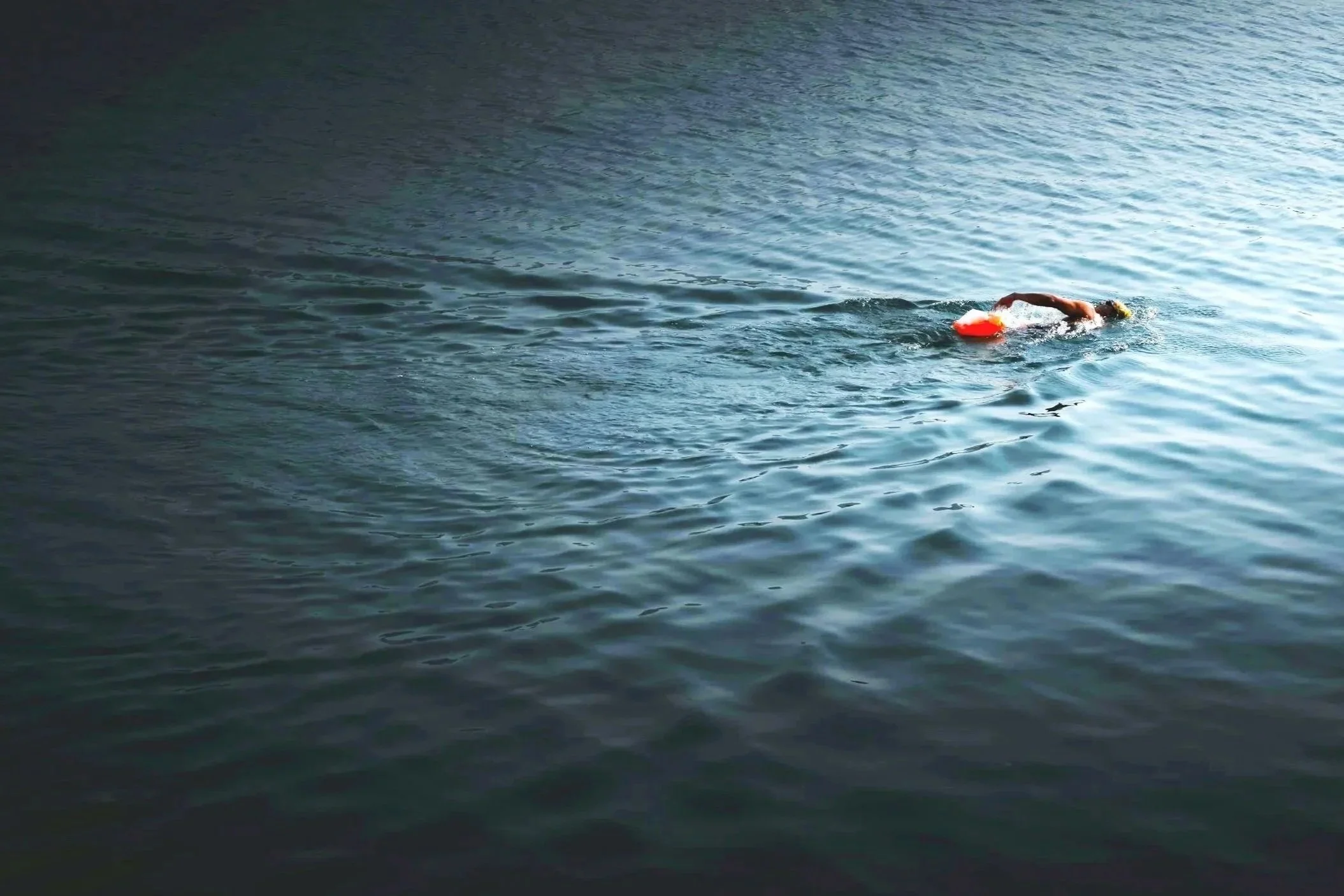 A person swimming alone in open water with a tow float.