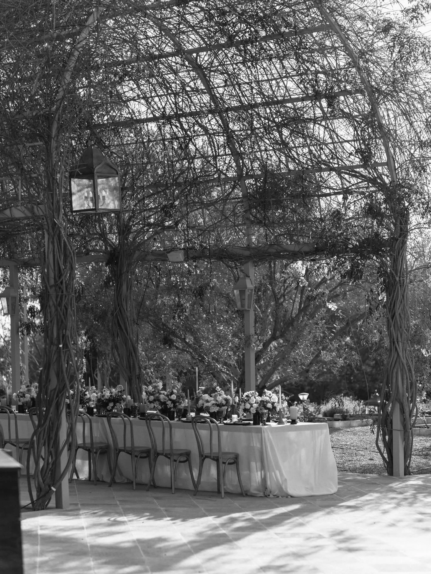 Jardines Colibr&iacute;. 

Photography @yessicacruzw 
Venue @lunaescondida.venue 
Planning + design @saraifloresmendivil @cosmeweddingstudio 
Floral design @florklorestudio 
Rentals @warehouseguanajuato