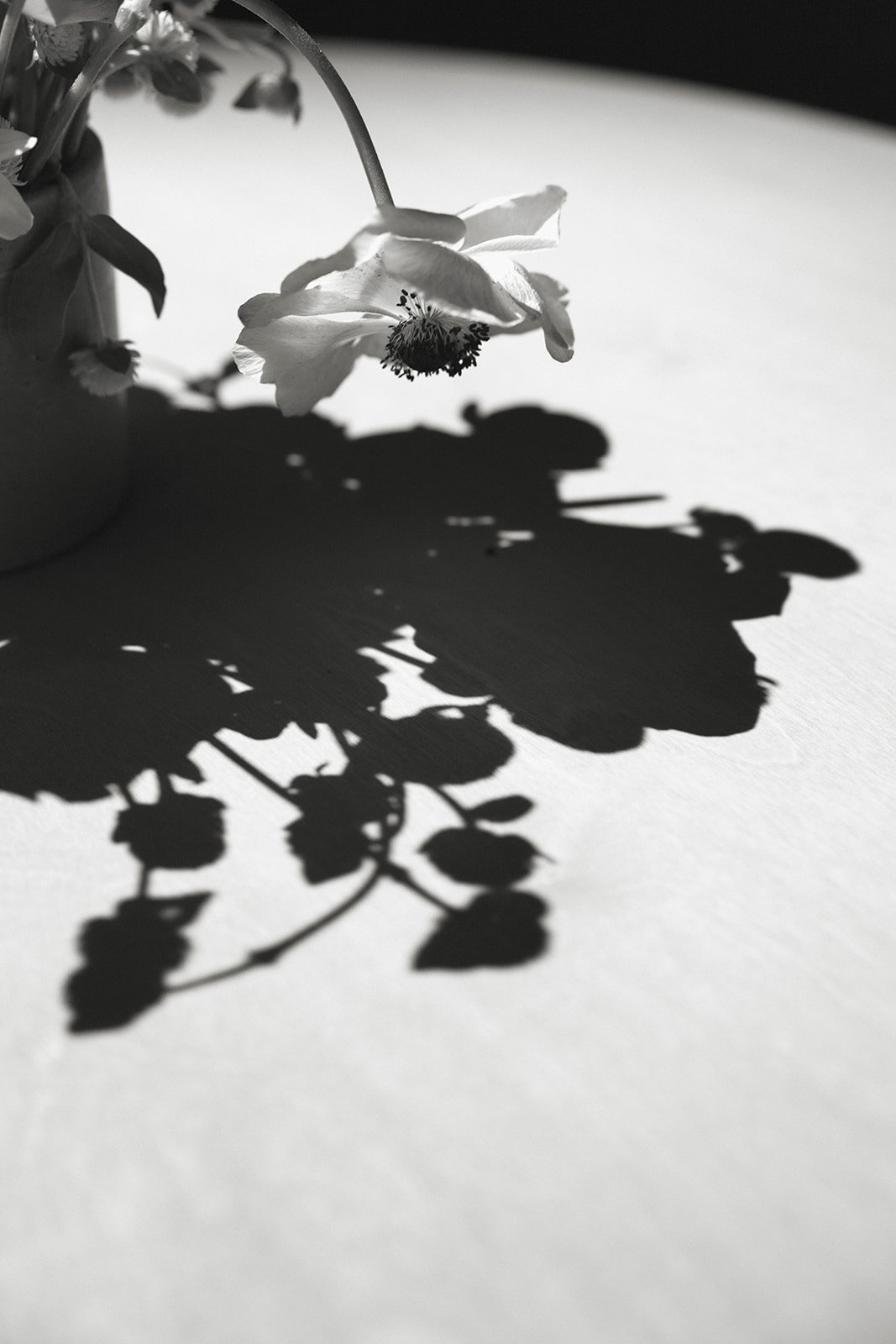 Rancho las sabinas weddings_saturday984.jpg