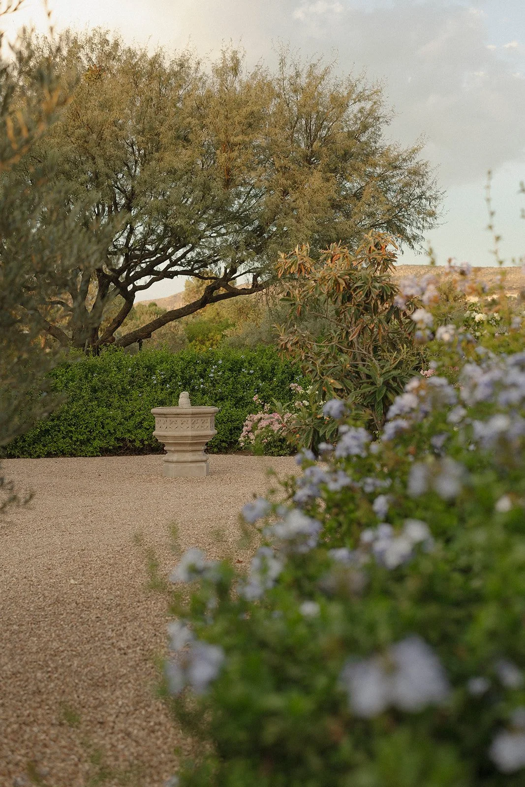 Weddings in san miguel de allende_L&R (185).jpg