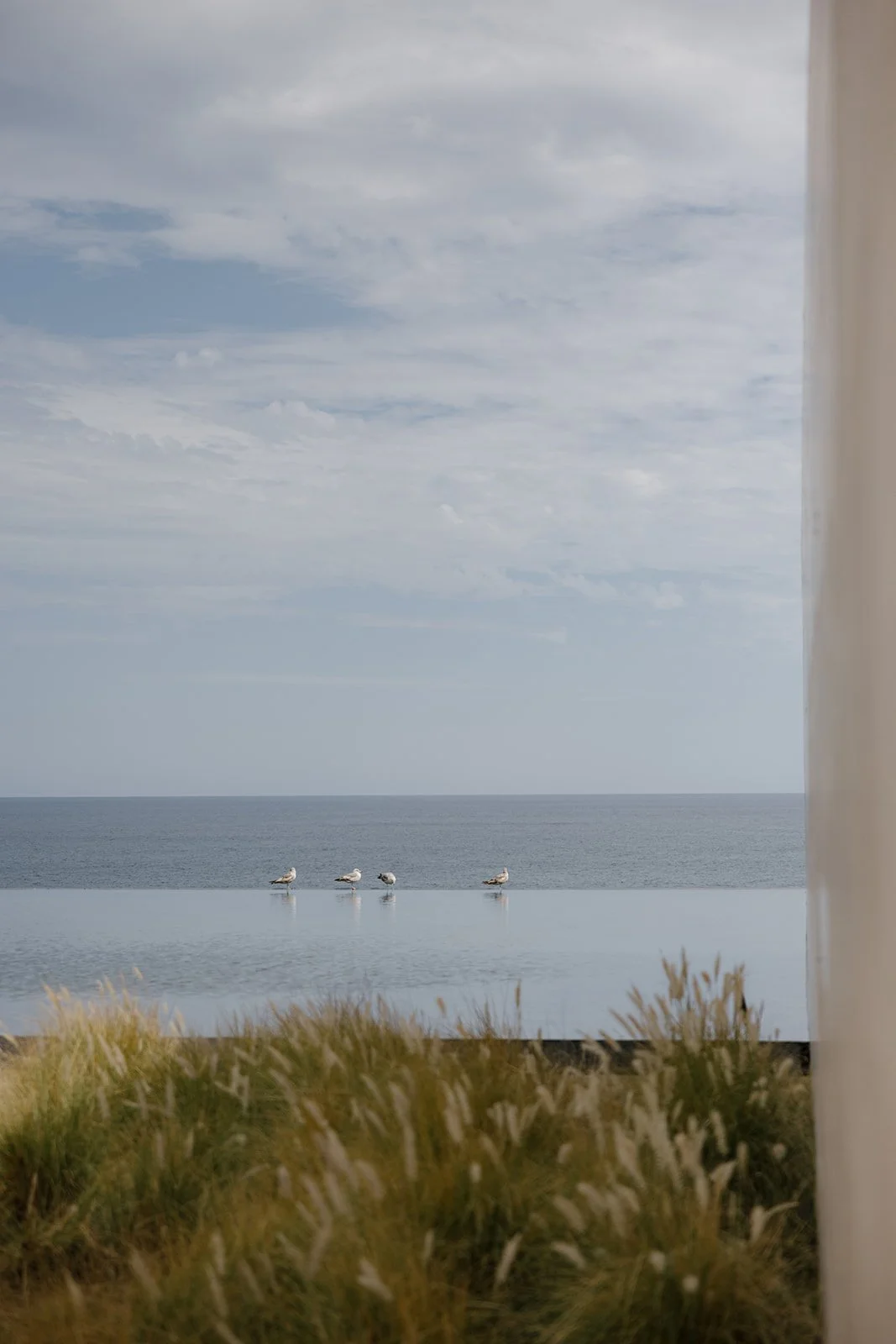 WEDDINGPLANNERCABO.-156.jpg