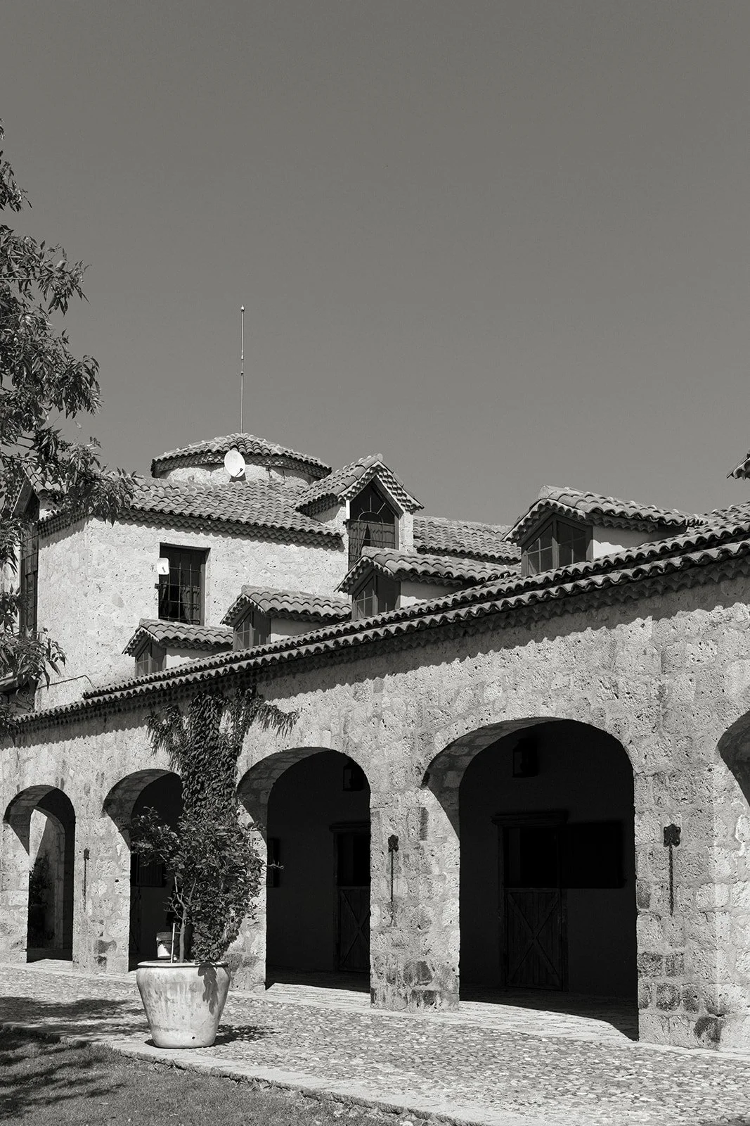 San Miguel de Allende weddings (0).jpg