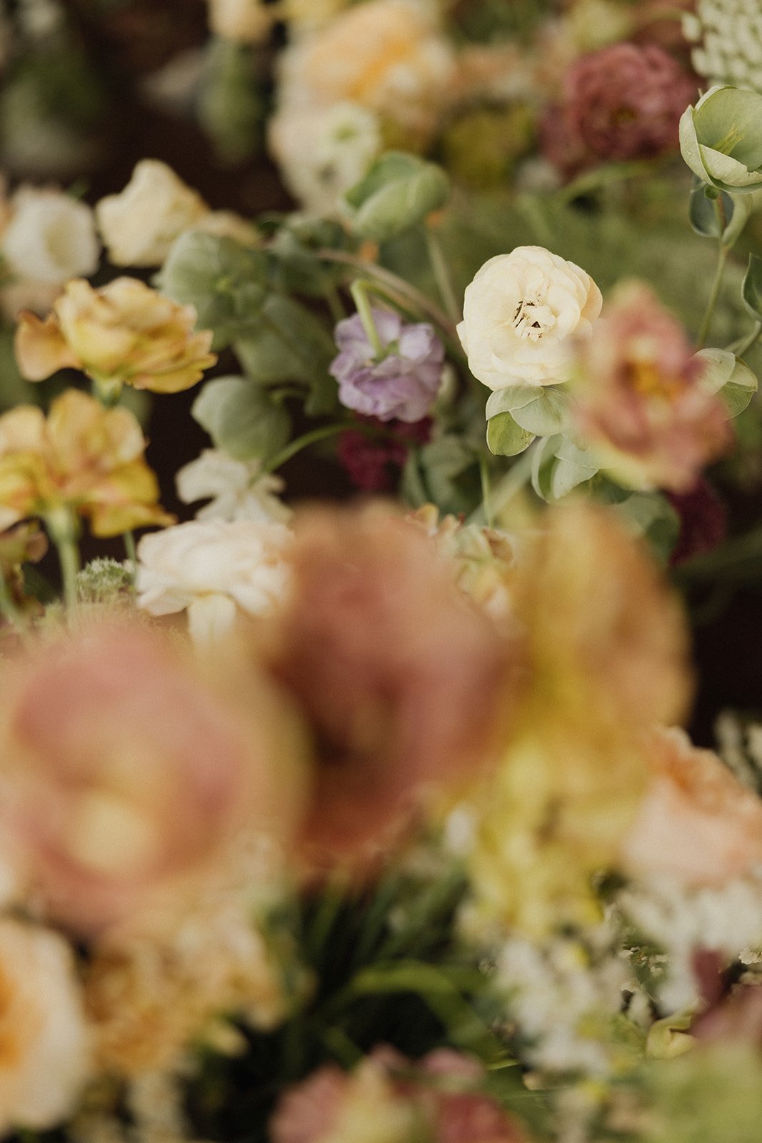 Rancho las sabinas weddings_saturday005.jpg