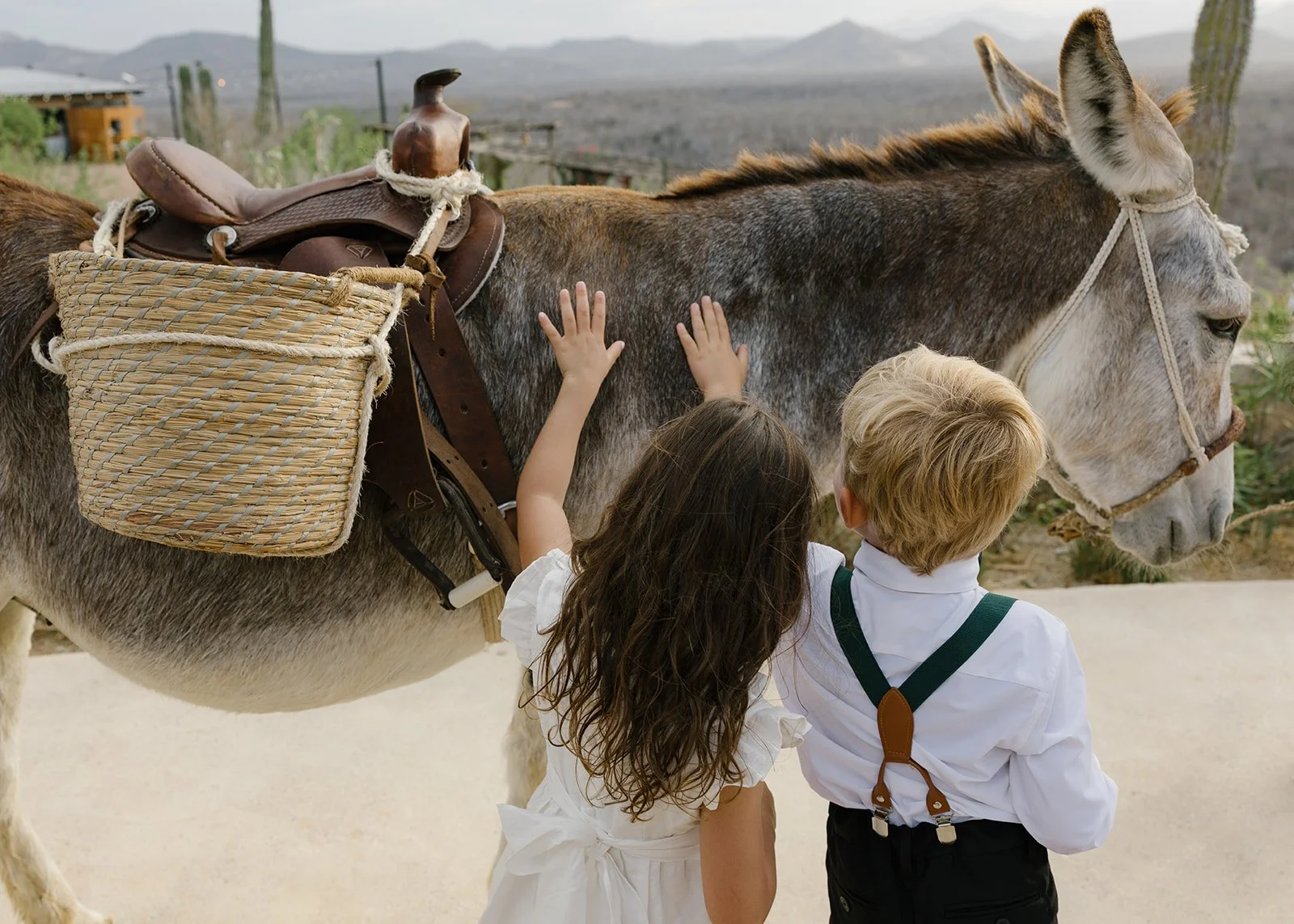 WEDDINGPLANNERCABO.-502.jpg