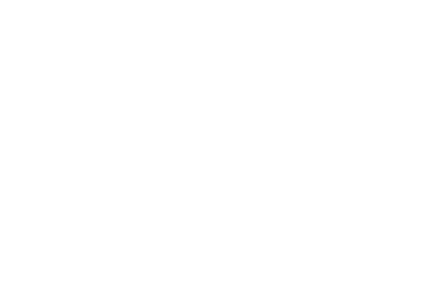 Investment Society
