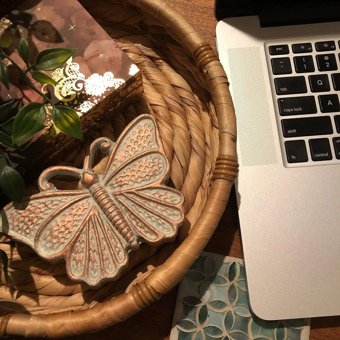 Finally back with a new writing vlog! It&rsquo;s a super chatty one but I&rsquo;m having so much fun with my current WIP, Project Amethyst! 🥰

If you like #writingvlogs come hang out with me on my YouTube channel! (Link in bio) 

#writer #writerlife