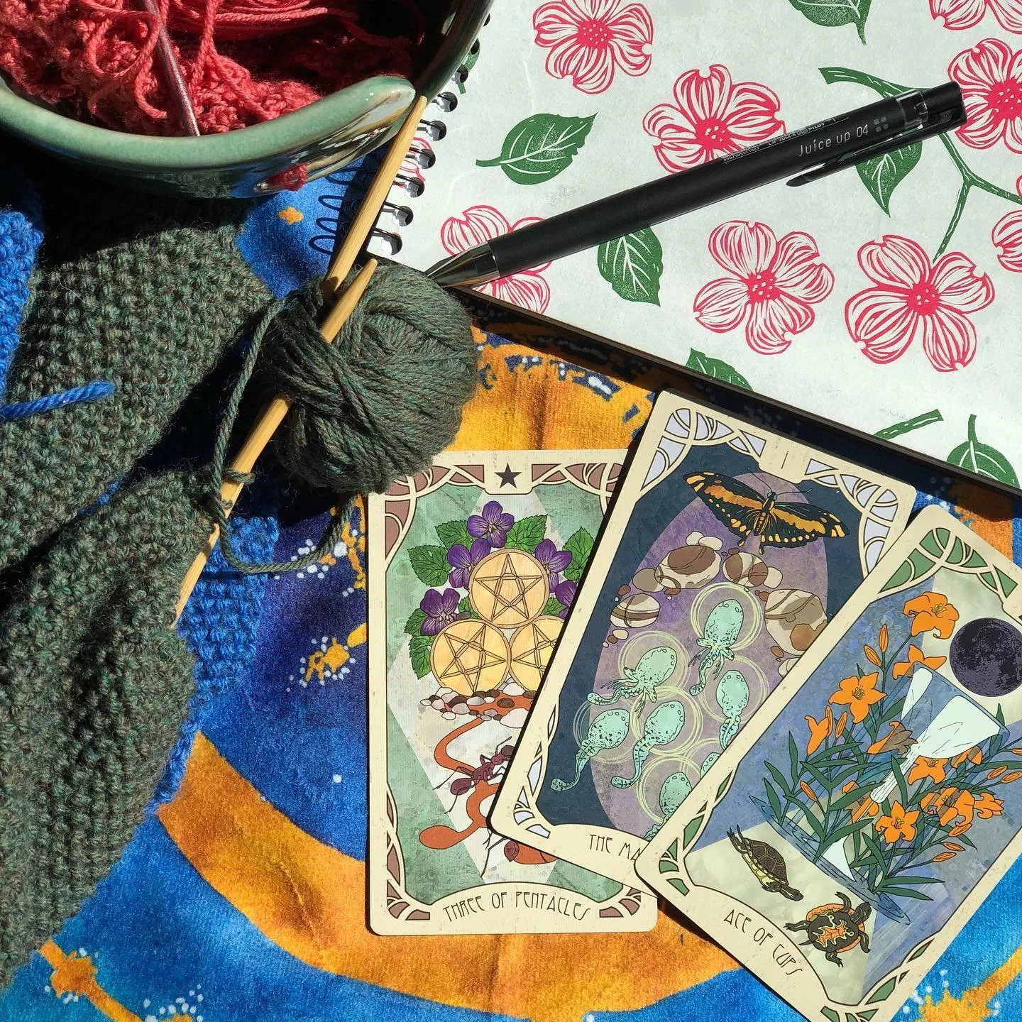 Hi I&rsquo;m Saoirse! Nice to meet you! This post is meant to be a little introduction! I&rsquo;m a writer, tarot reader, and content creator who loves knitting, crocheting, dogs, and coffee just to name a few things. I&rsquo;m currently working on t