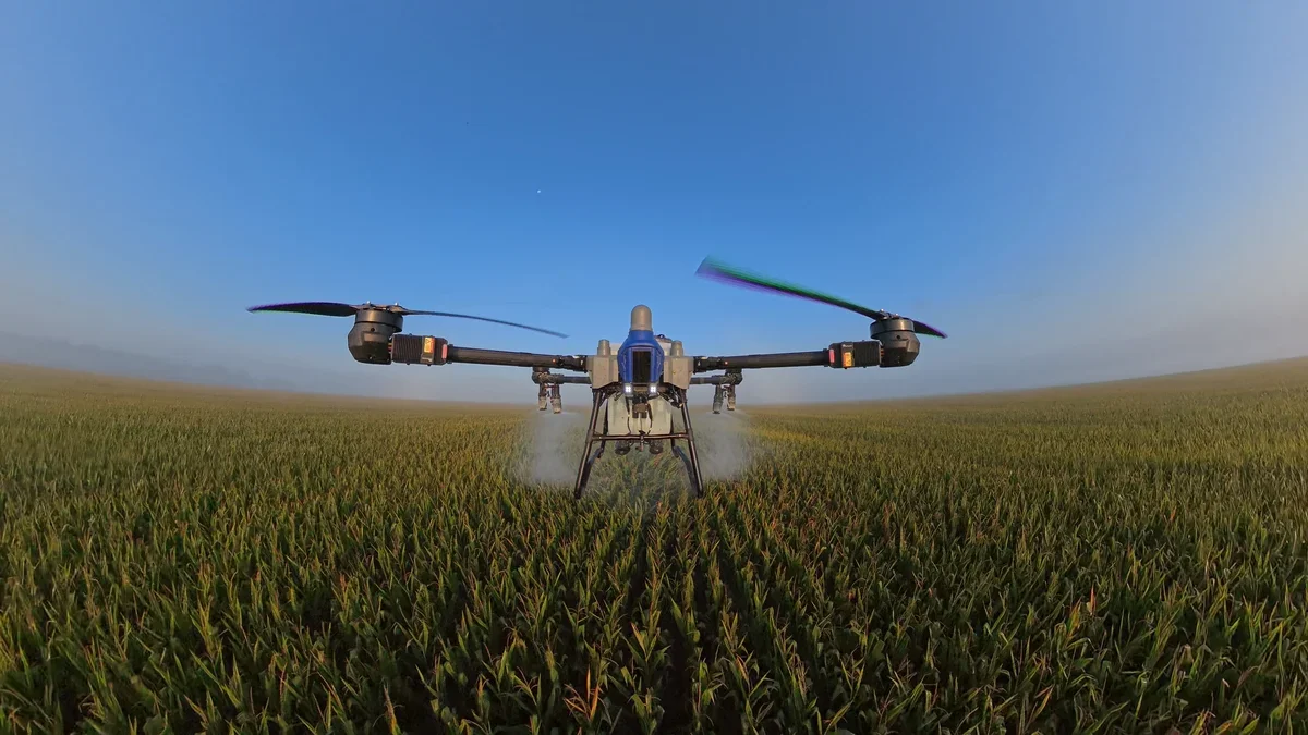 A drone flying low over a green crop field during daytime with a clear blue sky.