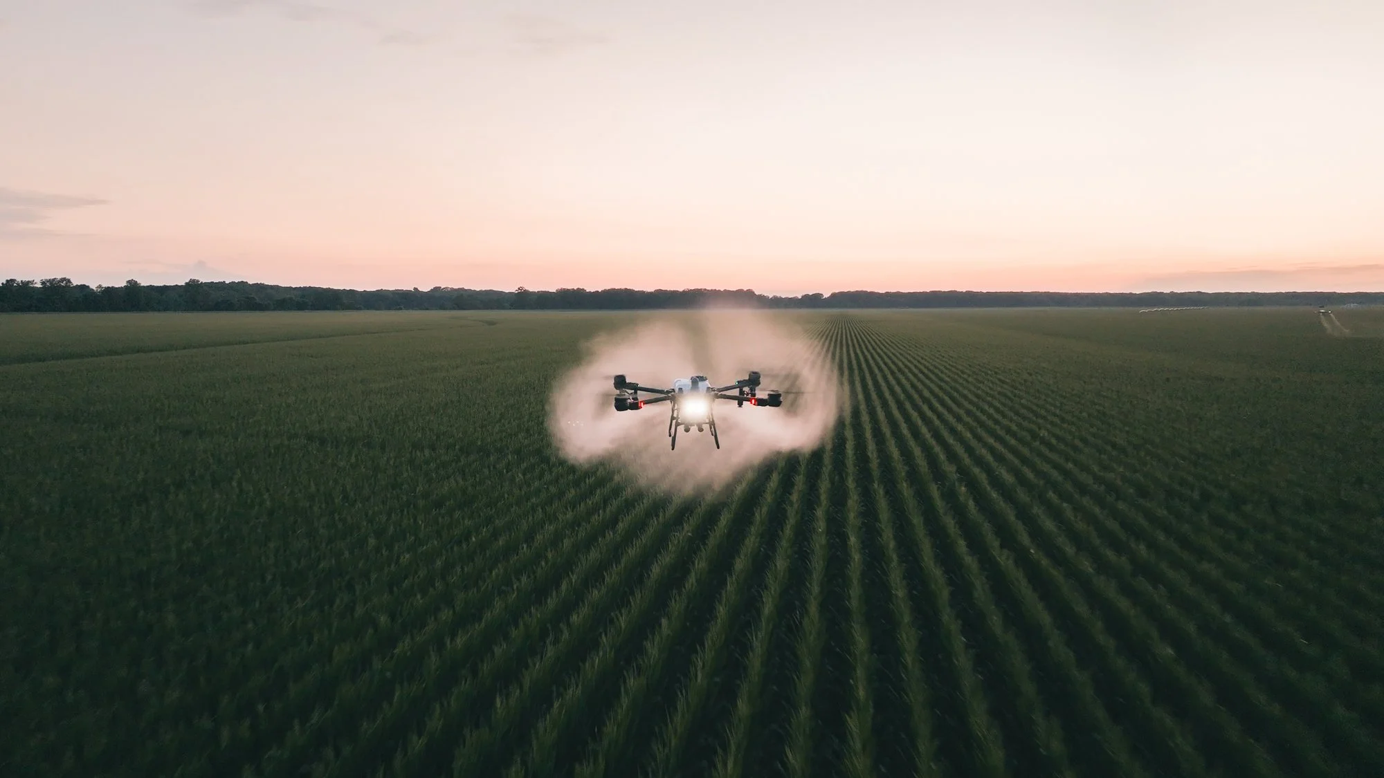 A drone flying over a green field during sunset, spraying pesticides or fertilizers.
