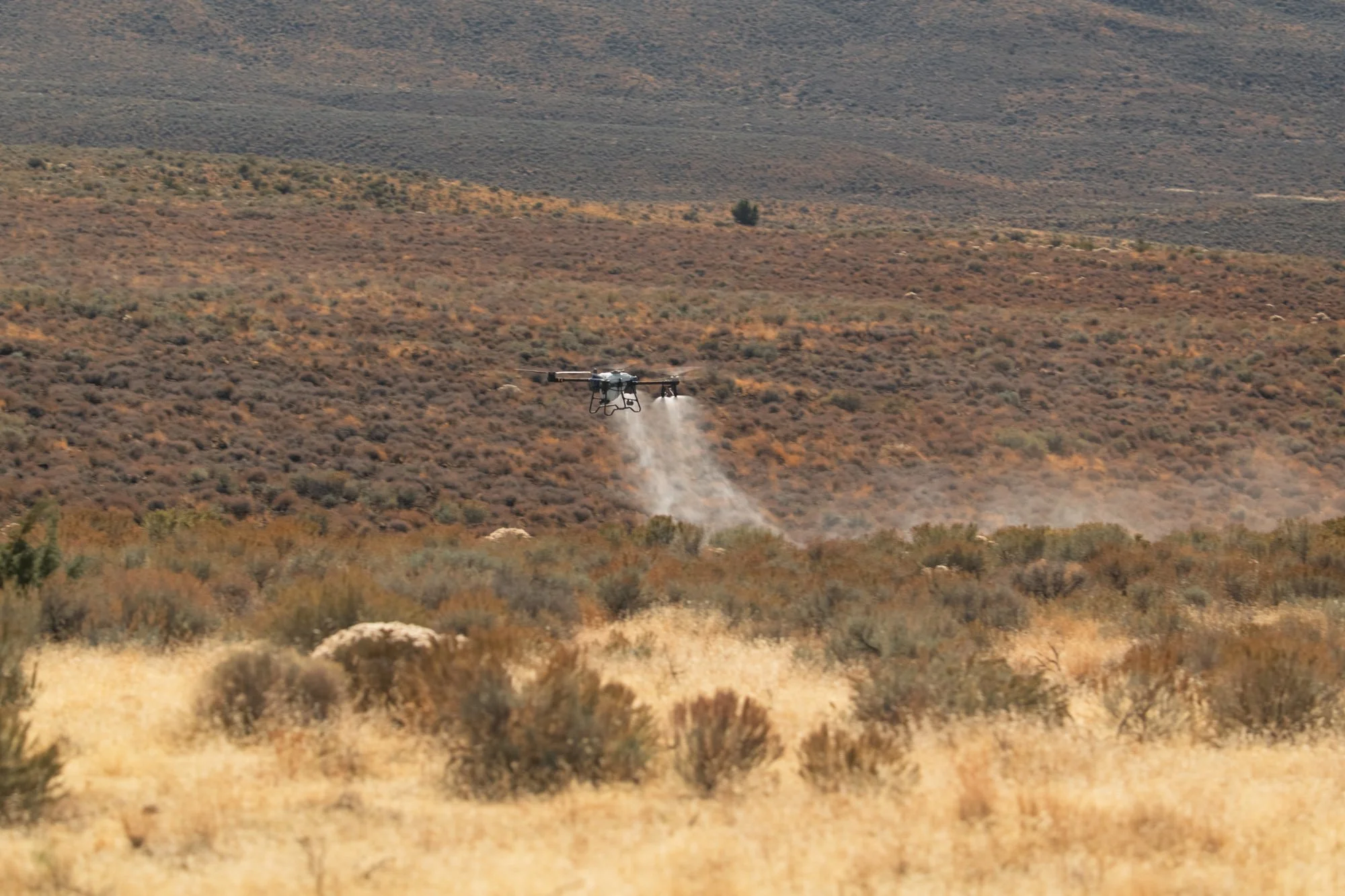 A drone flying over a dry, desert landscape with sparse bushes, dispersing a white substance, with hills in the background.