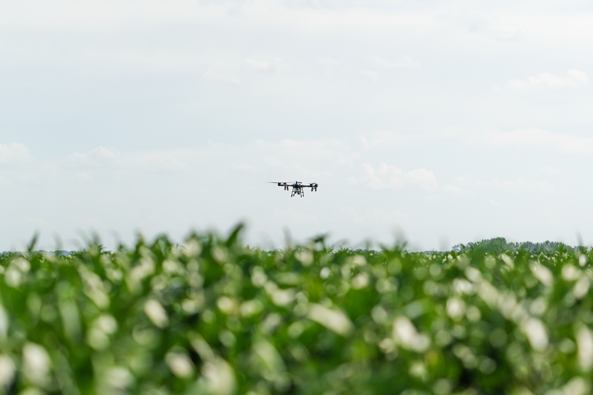 A drone flying over a green field of crops against a partly cloudy sky.