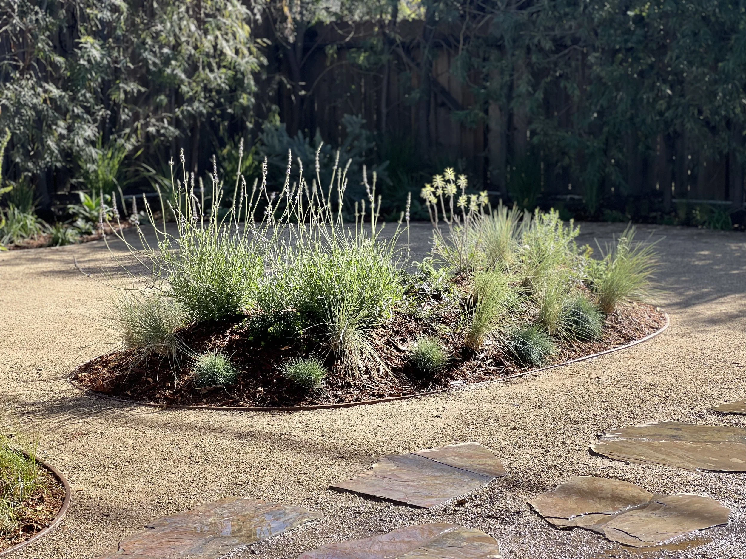 Design & Garden Installation