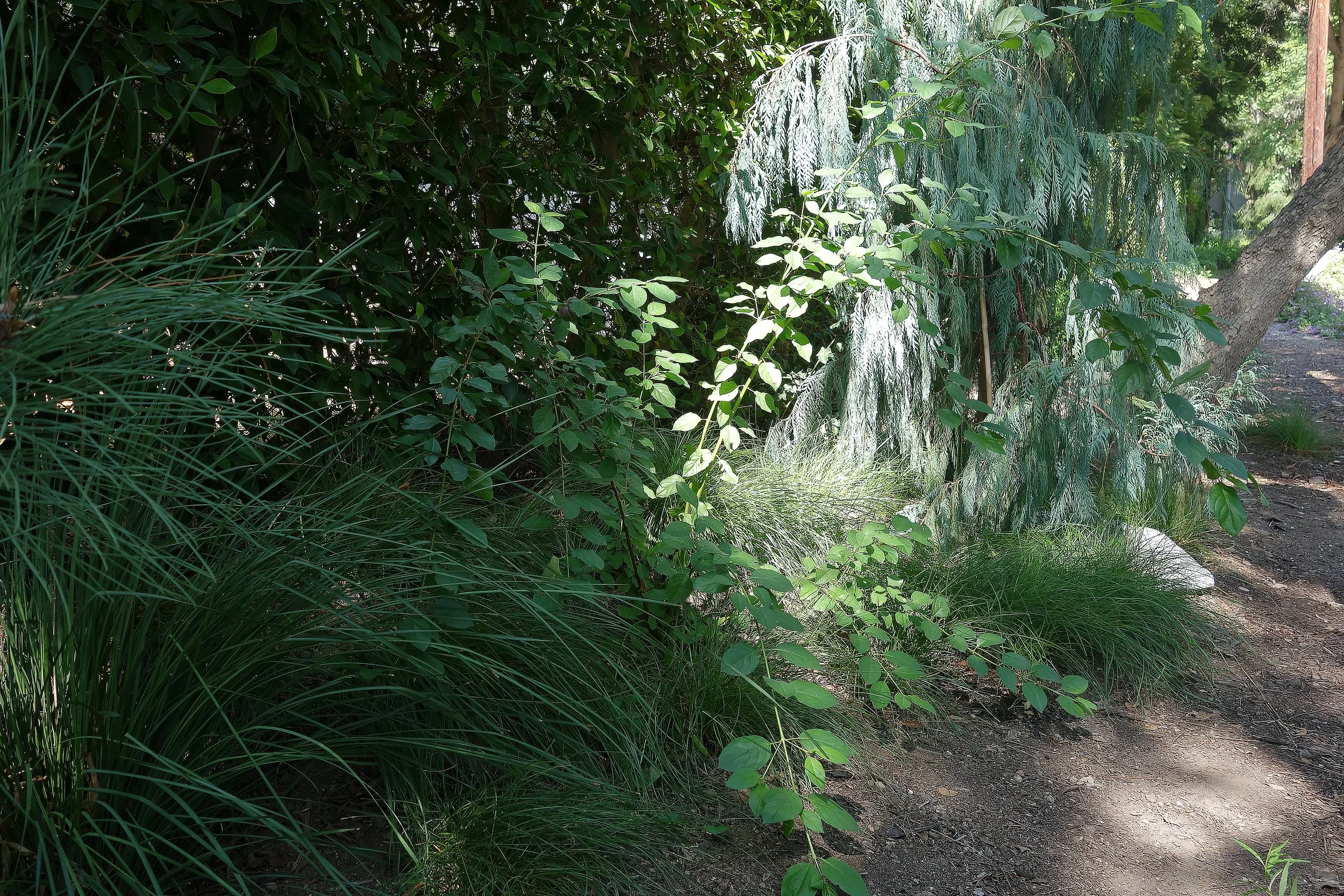 DSC06852 - color corrected.jpg