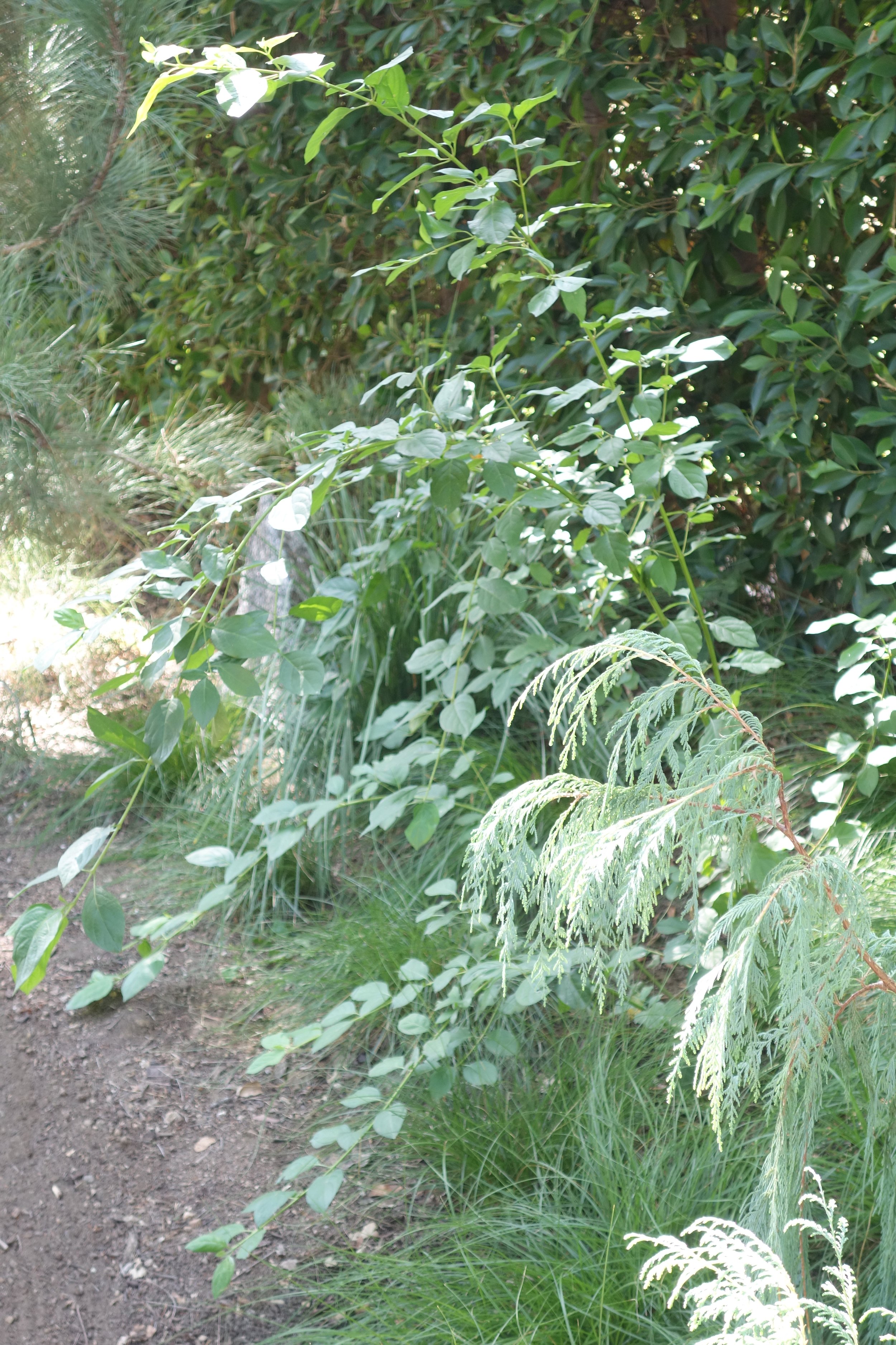 DSC06920.JPG