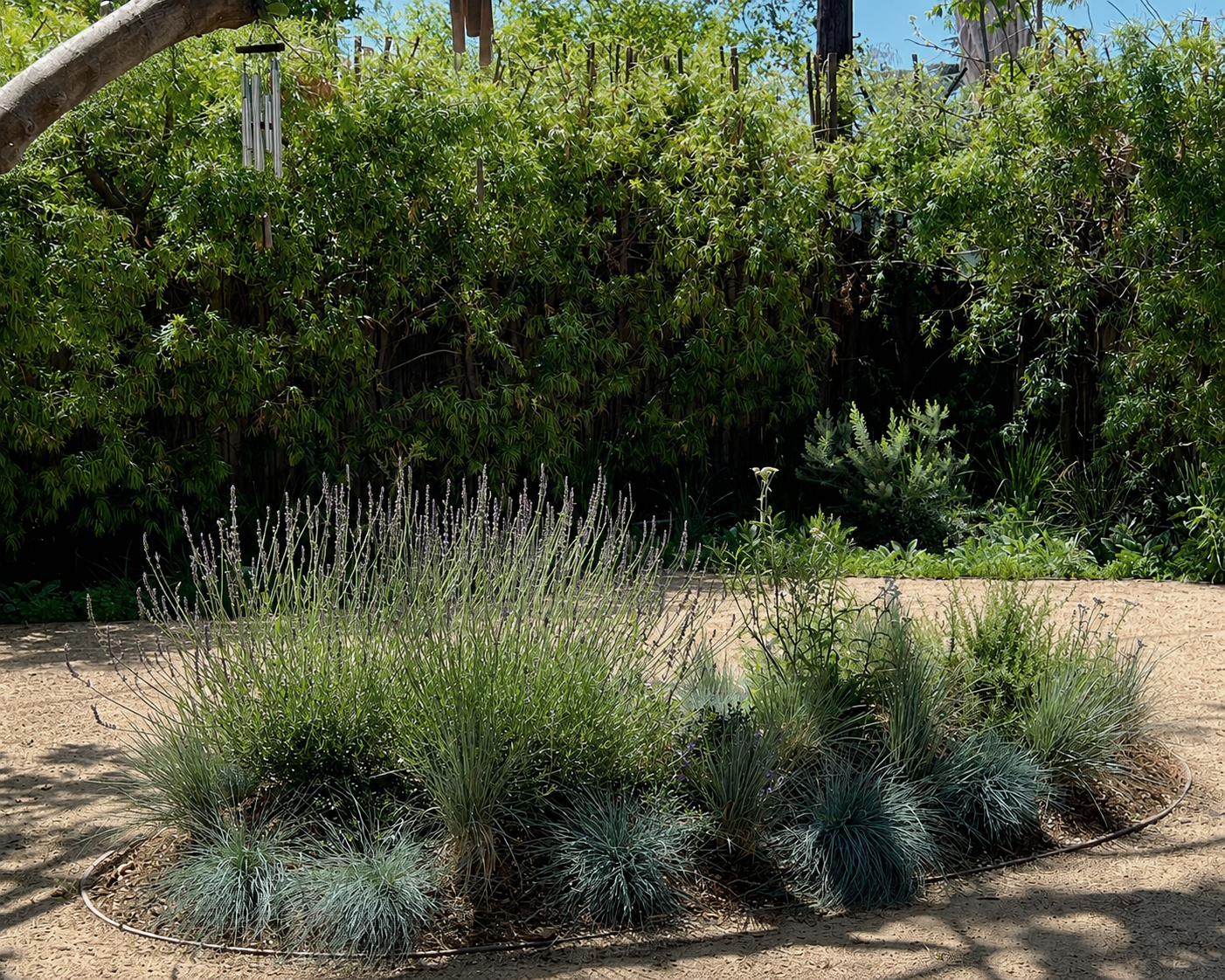 Atwater Village Backyard Pollinator Garden