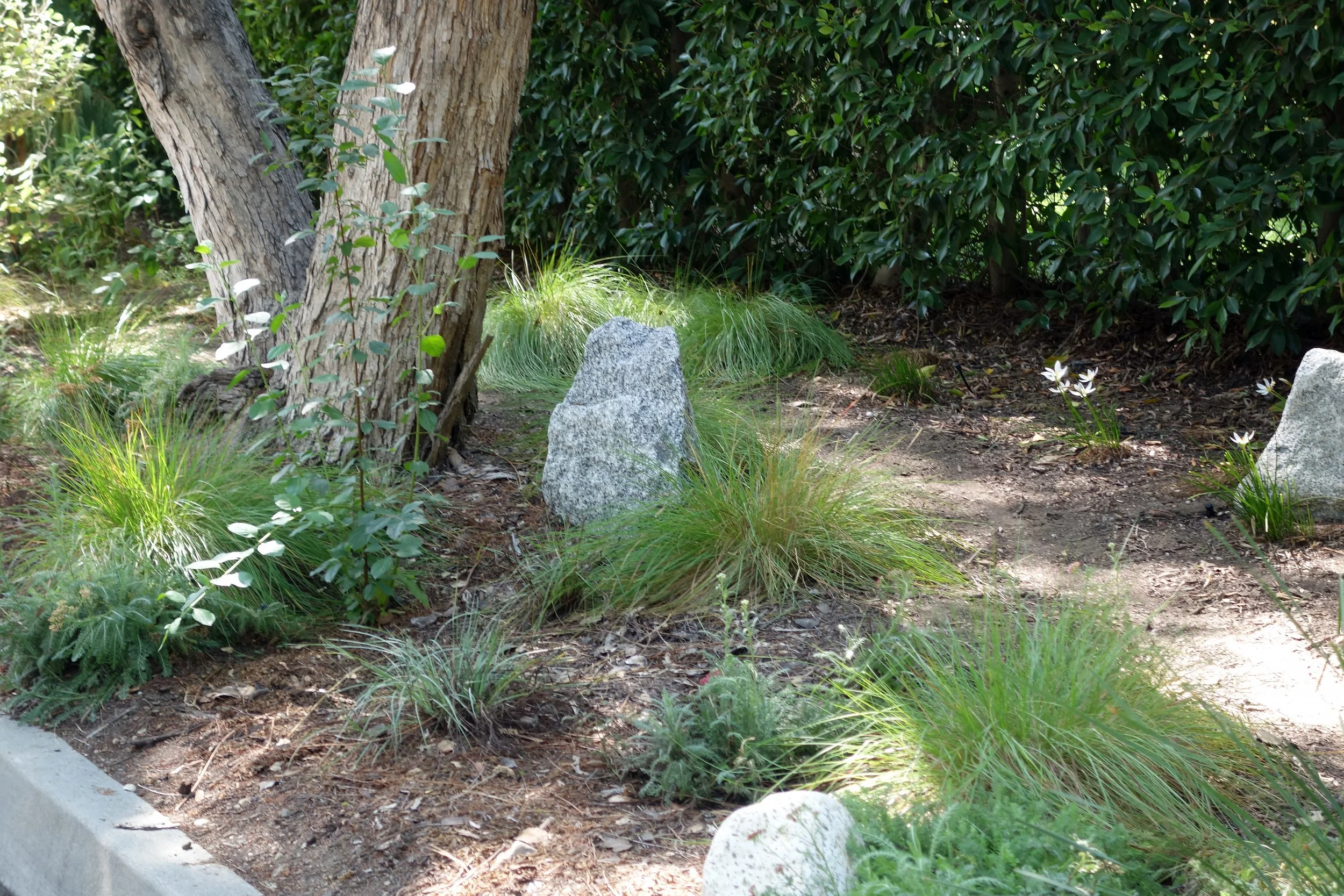 DSC06947 corrected.jpg