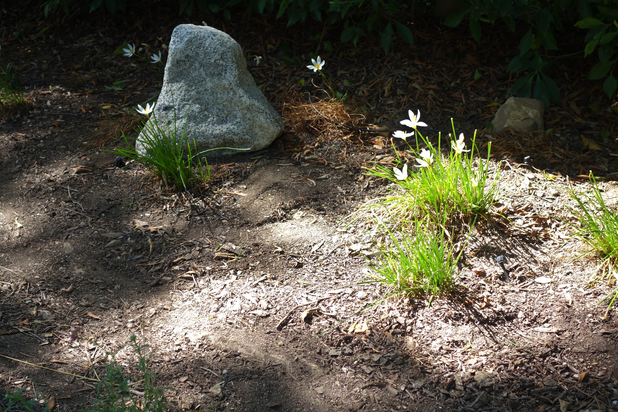 DSC06897 - color corrected.jpg