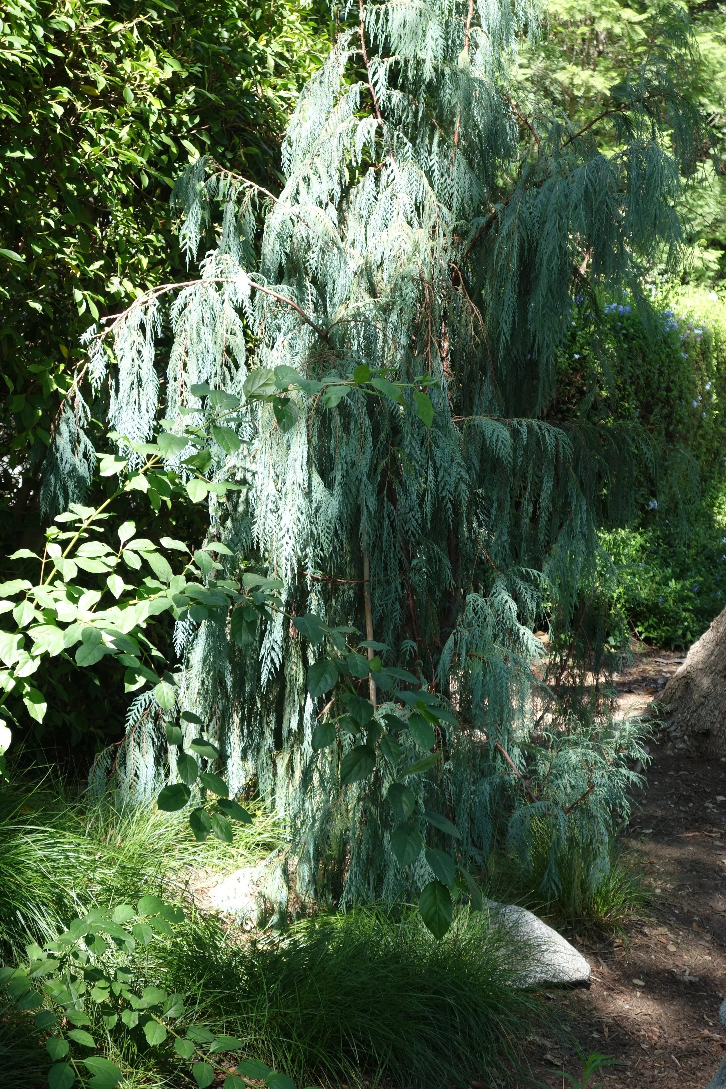 DSC06873.JPG