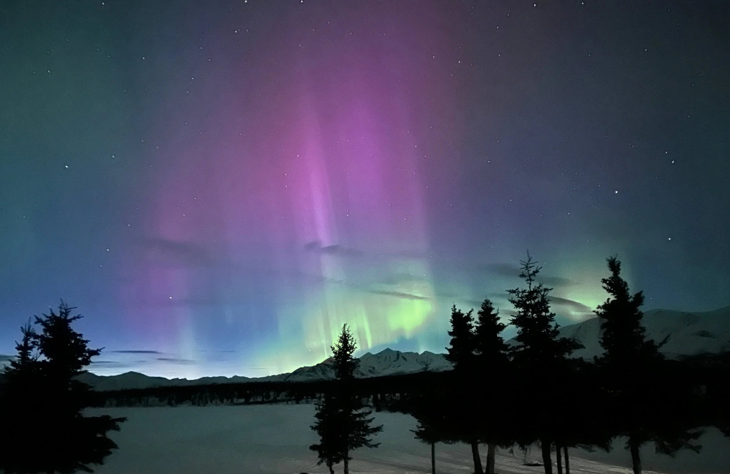 Night sky with colorful northern lights spectrum and stars over a mountain landscape with silhouetted trees.