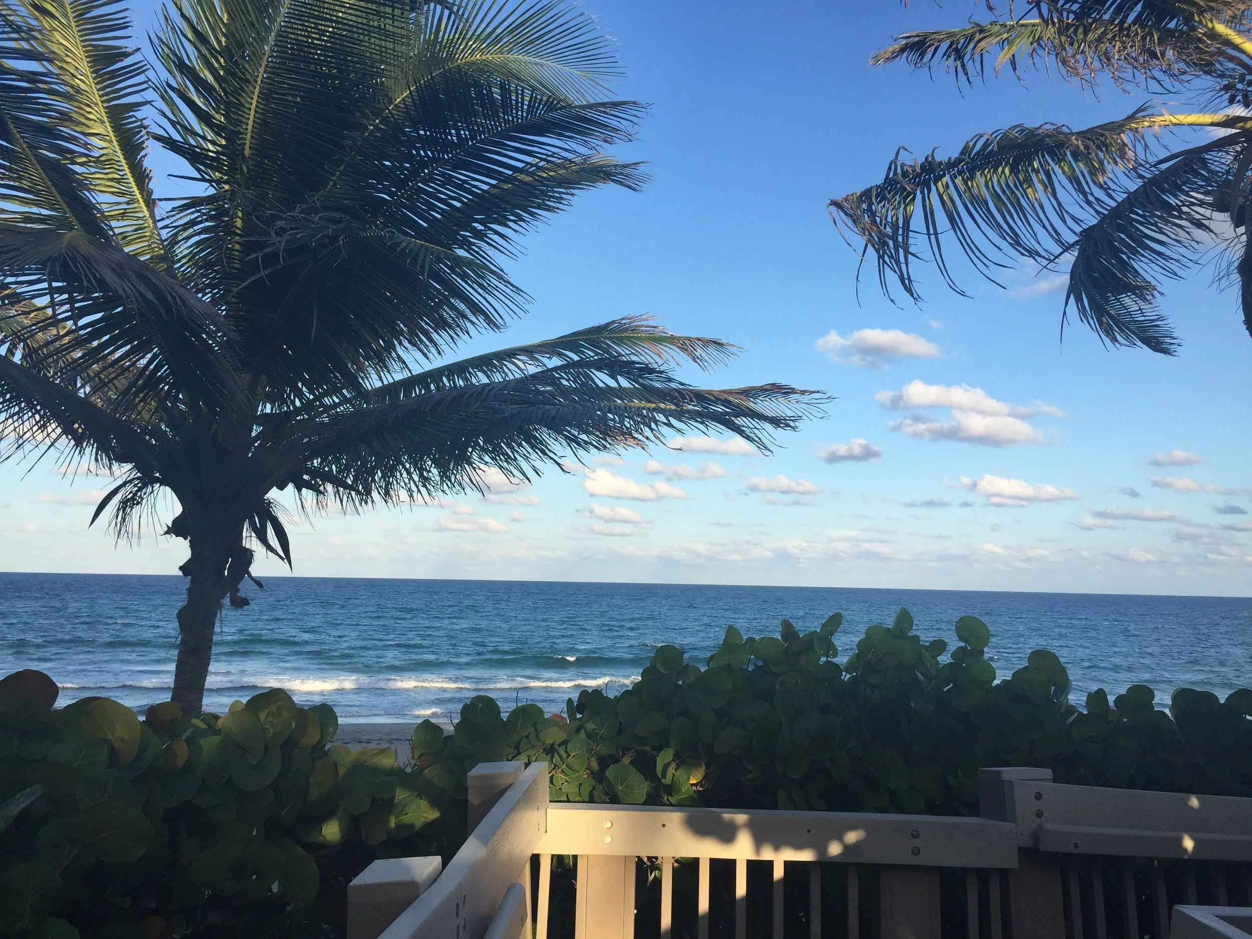 Beach scene with palm trees, ocean waves, and a partly cloudy sky, seen from a walkway with a white railing in the foreground.