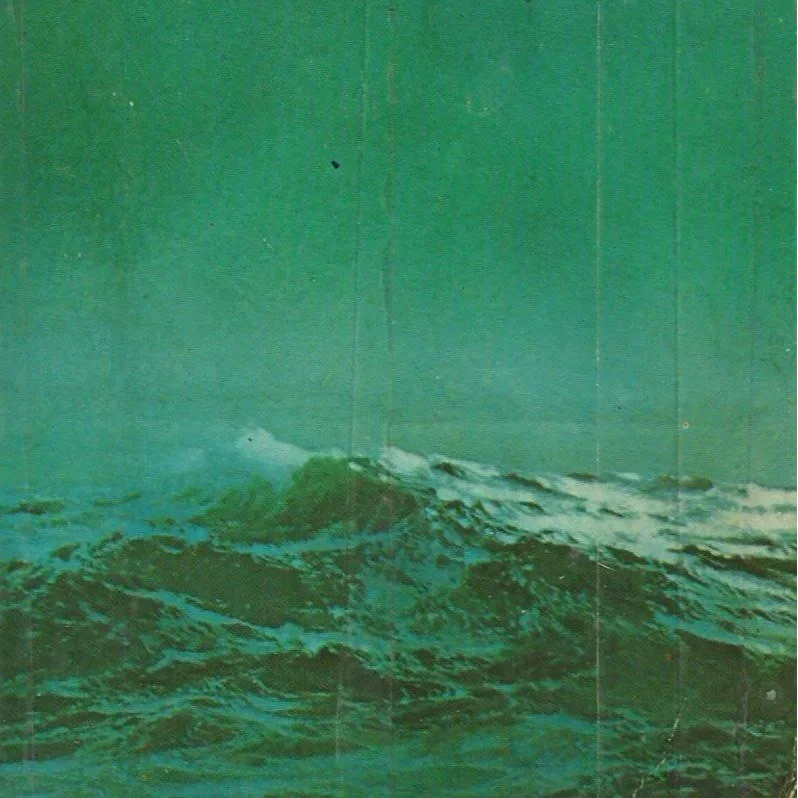 Mobydick.webp