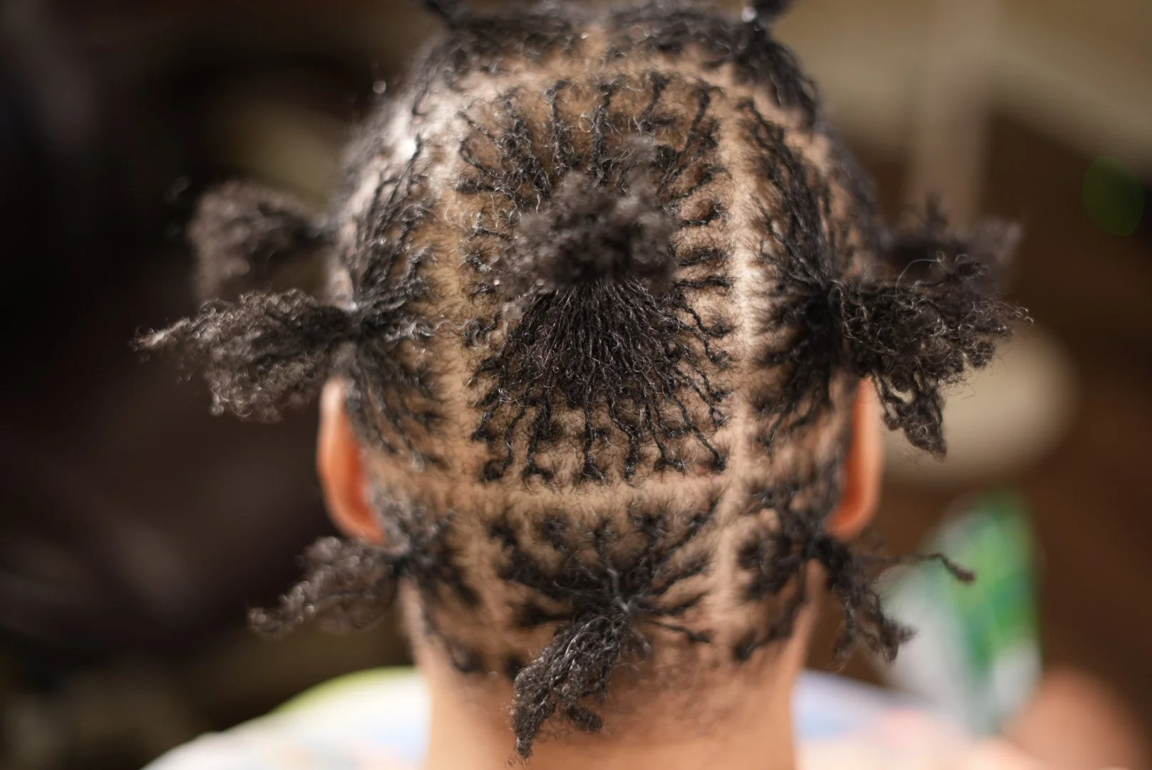 Sisterlocks® Establishment ($800+)