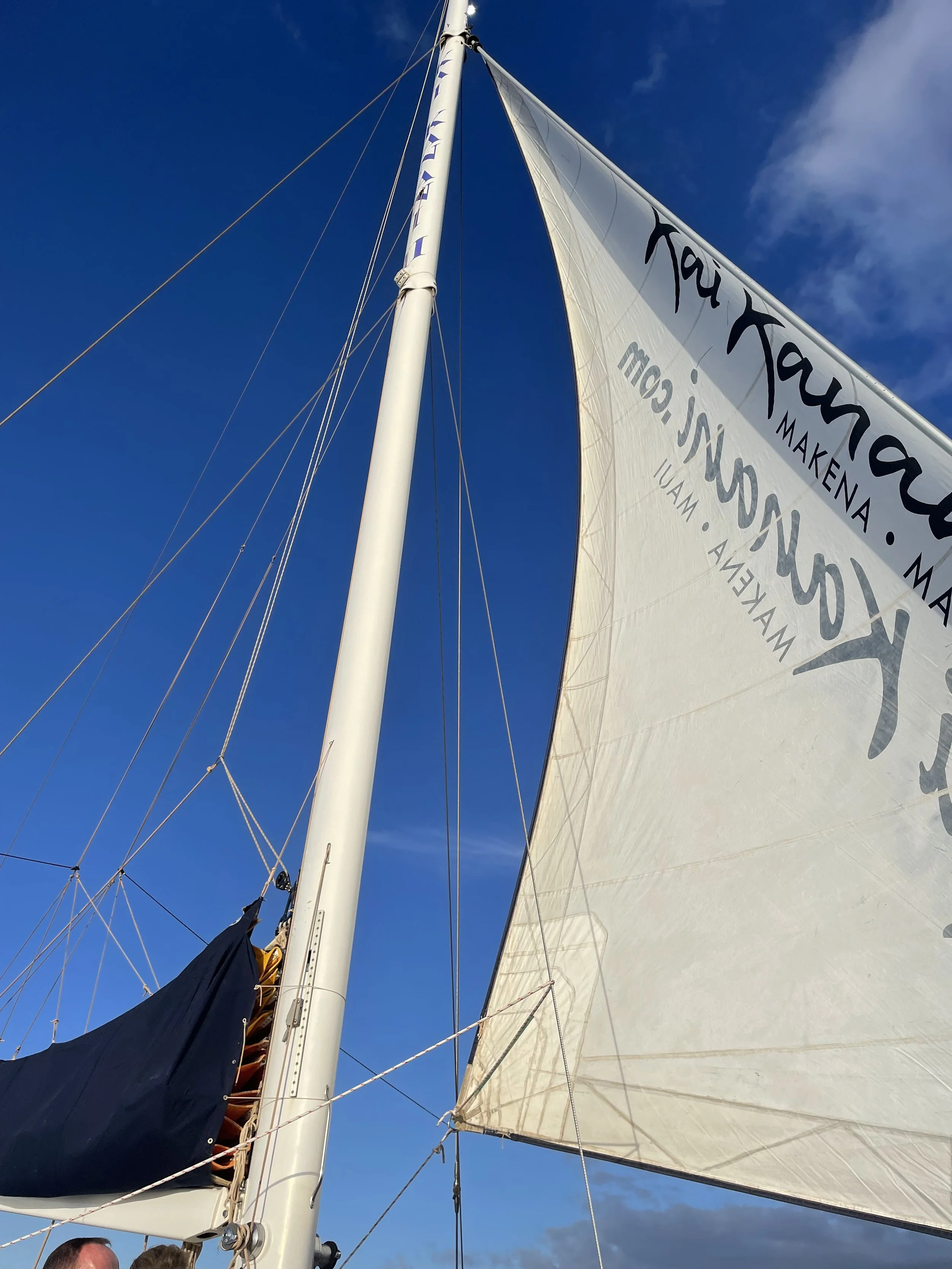 How to pivot after a layoff [and never get laid off again]