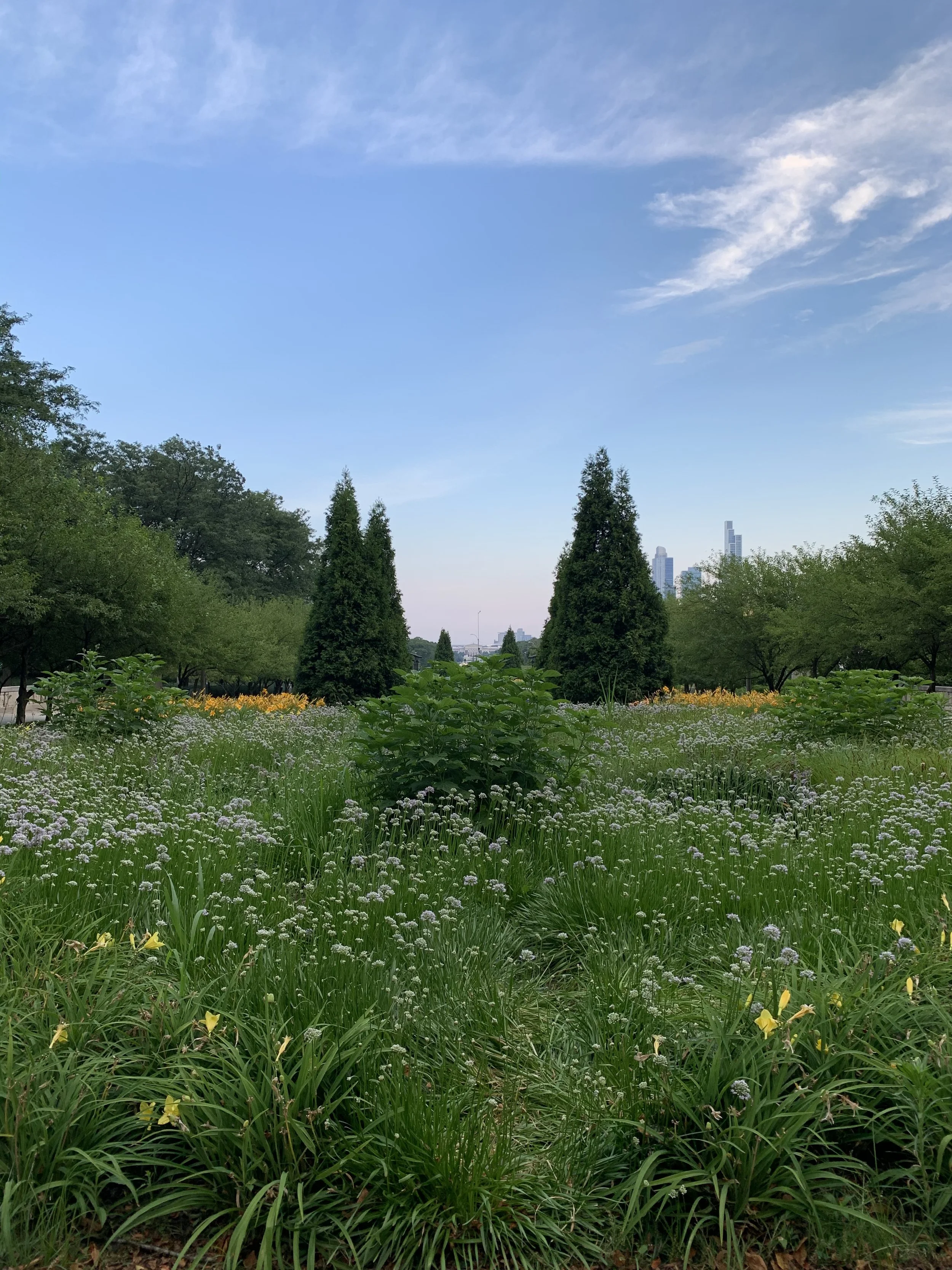 Well-Being Spring Cleaning Reset 