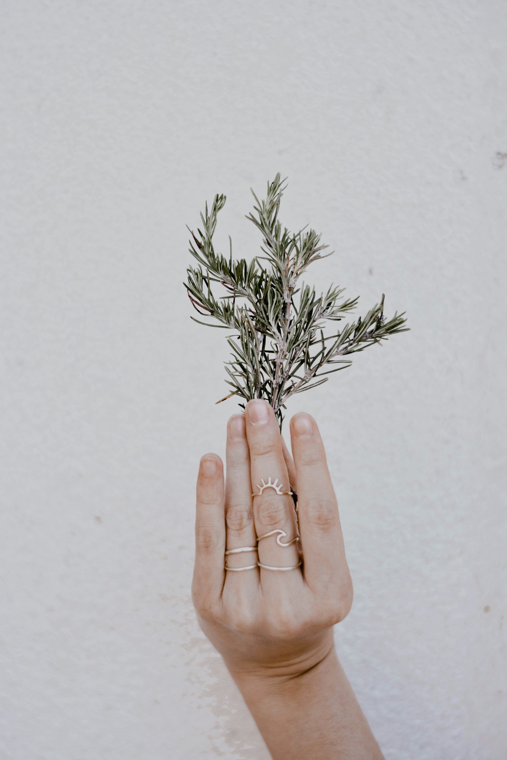 Hand with two rings holding small bouquet of green and brownish plant against plain white wall.